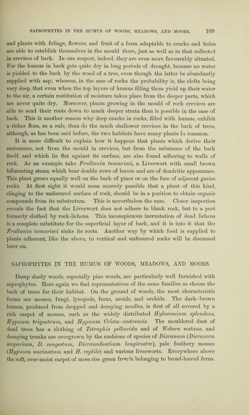 and plants with foliage, flowers, and fruit of a form adaptable to cracks and holes are able to establish themselves in the mould there, just as well as in that collected in crevices of bark. In one respect, indeed, they are even more favourably situated. For the humus in bark gets quite dry in long periods of drought, because no water is yielded to the bark by the wood of a tree, even though the latter be abundantly supplied with sap; whereas, in the case of rocks the probability is, the clefts being- very deep, that even when the top layers of humus filling them yield up their water to the air, a certain restitution of moisture takes place from the deeper parts, which are never quite dry. Moreover, plants growing in the mould of rock crevices are able to send their roots down to much deeper strata than is possible in the case of bark. This is another reason why deep cracks in rocks, filled with humus, exhibit a richer flora, as a rule, than do the much shallower crevices in the bark of trees, although, as has been said before, the two habitats have many plants in common. It is more difficult to explain how it happens that plants which derive their sustenance, not from the mould in crevices, but from the substance of the bark itself, and which lie flat against its surface, are also found adhering to walls of rock. As an example take Frullania tamarisci, a Liverwort with small brown bifurcating stems, which bear double rows of leaves and are of dendritic appearance. This plant grows equally well on the bark of pines or on the face of adjacent gneiss rocks. At first sight it would seem scarcely possible that a plant of this kind, clinging to the unfissured surface of rock, should be in a position to obtain organic compounds from its substratum. This is nevertheless the case. Closer inspection reveals the fact that the Liverwort does not adhere to blank rock, but to a part formerly clothed by rock-lichens. This inconspicuous incrustation of dead lichens is a complete substitute for the superficial layer of bark, and it is into it that the Frullania tamarisci sinks its roots. Another way by which food is supplied to plants adherent, like the above, to vertical and unfissured rocks will be discussed later on. SAPROPHYTES IN THE HUMUS OF WOODS, MEADOWS, AND MOORS. Damp shady woods, especially pine woods, are particularly well furnished with saprophytes. Here again we find representatives of the same families as choose the bark of trees for their habitat. On the ground of woods, the most characteristic forms are mosses, fungi, lycopods, ferns, aroids, and orchids. The dark-brown humus, produced from dropped and decaying needles, is first of all covered by a rich carpet of mosses, such as the widely distributed Hylocomium splendens, Hypnum triquetrum, and Hypnum Crista -castrensis. The mouldered dust of dead trees has a clothing of Tetr aphis pellucida and of Weber a nutans, and decaying trunks are overgrown by the cushions of species of Dicranum (Dicranum scoparium, D. congestion, Dicranodontium longirostre), pale feathery mosses {Hypnum uncinatum and H. reptile) and various liverworts. Everywhere above the soft, ever-moist carpet of moss rise green fronds belonging to broad-leaved ferns.