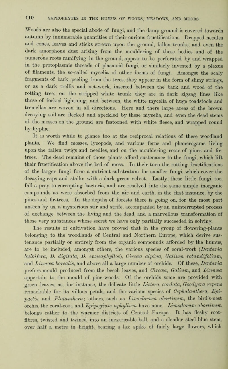Woods are also the special abode of fungi, and the damp ground is covered towards autumn by innumerable quantities of their curious fructifications. Dropped needles and cones, leaves and sticks strewn upon the ground, fallen trunks, and even the dark amorphous dust arising from the mouldering of these bodies and of the numerous roots ramifying in the ground, appear to be perfox-ated by and wrapped in the protoplasmic threads of plasmoid fungi, or similarly invested by a plexus of filaments, the so-called mycelia of other forms of fungi. Amongst the scaly fragments of bark, peeling from the trees, they appear in the form of slimy strings, or as a dark trellis and net-work, inserted between the bark and wood of the rotting tree; on the stripped white trunk they are in dark zigzag lines like those of forked lightning; and between, the white mycelia of huge toadstools and tremellas are woven in all directions. Here and there large areas of the brown decaying soil are flecked and speckled by these mycelia, and even the dead stems of the mosses on the ground are festooned with white fleece, and wrapped round by hyplise. It is worth while to glance too at the reciprocal relations of these woodland plants. We find mosses, lycopods, and various ferns and phanerogams living upon the fallen twigs and needles, and on the mouldering roots of pines and fir- trees. The dead remains of those plants afford sustenance to the fungi, which lift their fructification above the bed of moss. In their turn the rotting fructifications of the larger fungi form a nutrient substratum for smaller fungi, which cover the decaying caps and stalks with a dark-green velvet. Lastly, these little fungi, too, fall a prey to corrupting bacteria, and are resolved into the same simple inorganic compounds as were absorbed from the air and earth, in the first instance, by the pines and fir-trees. In the depths of forests there is going on, for the most part unseen by us, a mysterious stir and strife, accompanied by an uninterrupted process of exchange between the living and the dead, and a marvellous transformation of those very substances whose secret we have only partially succeeded in solving. The results of cultivation have proved that in the group of flowering-plants belonging to the woodlands of Centx-al and Northern Europe, which derive sus- tenance pai’tially or entirely from the organic compoxxnds afforded by the humus, are to be included, amongst others, the various species of coral-wort (Dentaria bulbifera, D. digitata, D. enneaphyllos), Circoea alpina, Galium rotundifolium, and Linncea borealis, and above all a lax-ge number of orchids. Of these, Dentaria prefers mould px’oduced fx-om the beech leaves, and Circoea, Galium, and Linncea appertain to the mould of pine-woods. Of the orchids some are px’ovided with green leaves, as, for instance, the delicate little Listera cordata, Goodyera repens remax'kable for its villous petals, and the vax’ious species of Cephalanthera, Epi- pactis, and Platanthera; others, such as Limodorum abortivum, the bird’s-nest orchis, the coral-root, and Epipogium aphyllum have none. Limodorum abortivum belongs rather to the wax-mer distx-icts of Central Europe. It has fleshy root- fibres, twisted and twined into an inextricable ball, and a slender steel-blue stem, over half a metre in height, bearing a lax spike of fairly lax-ge flowers, which