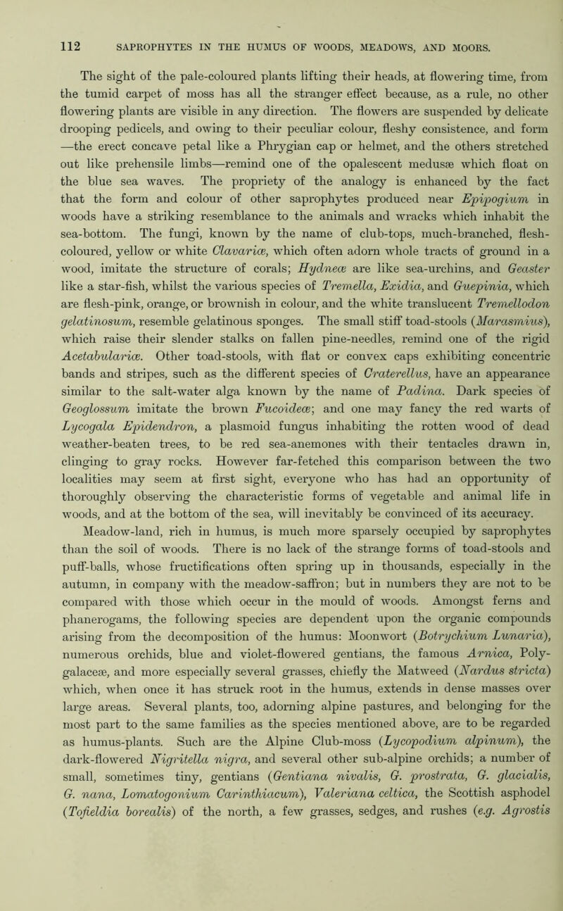 The sight of the pale-coloured plants lifting their heads, at flowering time, from the tumid carpet of moss has all the stranger effect because, as a rule, no other flowering plants are visible in any direction. The flowers are suspended by delicate drooping pedicels, and owing to their peculiar colour, fleshy consistence, and form —the erect concave petal like a Phrygian cap or helmet, and the others stretched out like prehensile limbs—remind one of the opalescent medusae which float on the blue sea waves. The propriety of the analogy is enhanced by the fact that the form and colour of other saprophytes produced near Epipogium in woods have a striking resemblance to the animals and wracks which inhabit the sea-bottom. The fungi, known by the name of club-tops, much-branched, flesh- coloured, yellow or white Clavarice, which often adorn whole tracts of ground in a wood, imitate the structure of corals; Hydnece are like sea-urchins, and Geaster like a star-fish, whilst the various species of Tremella, Exidia, and Guepinia, which are flesh-pink, orange, or brownish in colour, and the white translucent Tremellodon gelatinosum, resemble gelatinous sponges. The small stiff toad-stools (Marasmius), which raise their slender stalks on fallen pine-needles, remind one of the rigid Acetabularice. Other toad-stools, with flat or convex caps exhibiting concentric bands and stripes, such as the different species of Graterellus, have an appearance similar to the salt-water alga known by the name of Pcidina. Dark species of Geoglossum imitate the brown Fucoidece; and one may fancy the red warts of Lycogala Epidendron, a plasmoid fungus inhabiting the rotten wood of dead weather-beaten trees, to be red sea-anemones with their tentacles drawn in, clinging to gray rocks. However far-fetched this comparison between the two localities may seem at first sight, everyone who has had an opportunity of thoroughly observing the characteristic forms of vegetable and animal life in woods, and at the bottom of the sea, will inevitably be convinced of its accuracy. Meadow-land, rich in humus, is much more sparsely occupied by saprophytes than the soil of woods. There is no lack of the strange forms of toad-stools and puff-balls, whose fructifications often spring up in thousands, especially in the autumn, in company with the meadow-saffron; but in numbers they are not to be compared with those which occur in the mould of woods. Amongst ferns and phanerogams, the following species are dependent upon the organic compounds arising from the decomposition of the humus: Moonwort (Botrychium Lunaria), numerous orchids, blue and violet-flowered gentians, the famous Arnica, Poly- galacese, and more especially several grasses, chiefly the Matweed (Nardus stricta) which, when once it has struck root in the humus, extends in dense masses over large areas. Several plants, too, adorning alpine pastures, and belonging for the most part to the same families as the species mentioned above, are to be regarded as humus-plants. Such are the Alpine Club-moss (Lycopodium alpinum), the dark-flowered Nigritella nigra, and several other sub-alpine orchids; a number of small, sometimes tiny, gentians (Gentiana nivalis, G. prostrata, G. glacialis, G. nana, Lomatogonium Carinthiacum), Valeriana celtica, the Scottish asphodel (Tofieldia borealis) of the north, a few grasses, sedges, and rushes (e.g. Agrostis