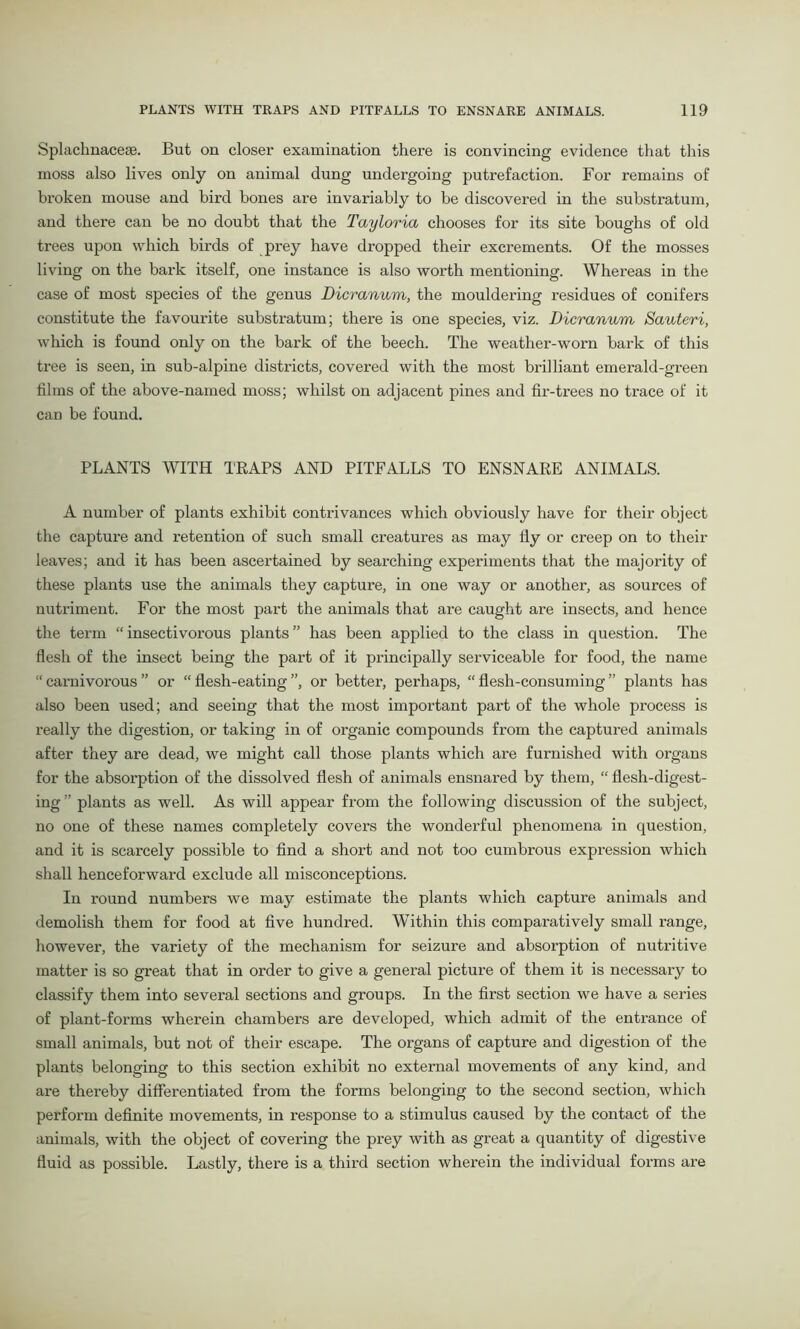 Splachnacese. But on closer examination there is convincing evidence that this moss also lives only on animal dung undergoing putrefaction. For remains of broken mouse and bird bones are invariably to be discovered in the substratum, and there can be no doubt that the Tayloria chooses for its site boughs of old trees upon which birds of prey have dropped their excrements. Of the mosses living on the bark itself, one instance is also worth mentioning. Whereas in the case of most species of the genus Dicranum, the mouldering residues of conifers constitute the favourite substratum; there is one species, viz. Dicranum, Sauteri, which is found only on the bark of the beech. The weather-worn bark of this tree is seen, in sub-alpine districts, covered with the most brilliant emerald-green films of the above-named moss; whilst on adjacent pines and fir-trees no trace of it can be found. PLANTS WITH TRAPS AND PITFALLS TO ENSNARE ANIMALS. A number of plants exhibit contrivances which obviously have for their object the capture and retention of such small creatures as may fly or creep on to their leaves; and it has been ascertained by searching experiments that the majority of these plants use the animals they capture, in one way or another, as sources of nutriment. For the most part the animals that are caught are insects, and hence the term “insectivorous plants” has been applied to the class in question. The flesh of the insect being the part of it principally serviceable for food, the name “ carnivorous ” or “ flesh-eating ”, or better, perhaps, “ flesh-consuming ” plants has also been used; and seeing that the most important part of the whole process is really the digestion, or taking in of organic compounds from the captured animals after they are dead, we might call those plants which are furnished with organs for the absorption of the dissolved flesh of animals ensnared by them, “ flesh-digest- ing ” plants as well. As will appear from the following discussion of the subject, no one of these names completely covers the wonderful phenomena in question, and it is scarcely possible to find a short and not too cumbrous expression which shall henceforward exclude all misconceptions. In round numbers we may estimate the plants which capture animals and demolish them for food at five hundred. Within this comparatively small range, however, the variety of the mechanism for seizure and absorption of nutritive matter is so great that in order to give a general picture of them it is necessary to classify them into several sections and groups. In the first section we have a series of plant-forms wherein chambers are developed, which admit of the entrance of small animals, but not of their escape. The organs of capture and digestion of the plants belonging to this section exhibit no external movements of any kind, and are thereby differentiated from the forms belonging to the second section, which perform definite movements, in response to a stimulus caused by the contact of the animals, with the object of covering the prey with as great a quantity of digestive fluid as possible. Lastly, there is a third section wherein the individual forms are