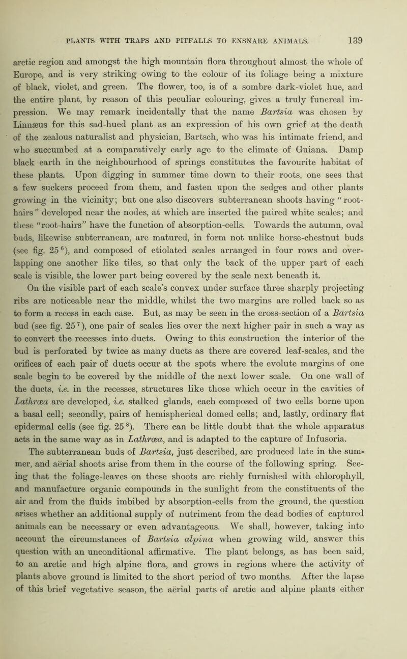 arctic region and amongst the high mountain flora throughout almost the whole of Europe, and is very striking owing to the colour of its foliage being a mixture of black, violet, and green. The flower, too, is of a sombre dark-violet hue, and the entire plant, by reason of this peculiar colouring, gives a truly funereal im- pression. We may remark incidentally that the name Bartsia was chosen by Linnaeus for this sad-hued plant as an expression of his own grief at the death of the zealous naturalist and physician, Bartsch, who was his intimate friend, and who succumbed at a comparatively early age to the climate of Guiana. Damp black earth in the neighbourhood of springs constitutes the favourite habitat of these plants. Upon digging in summer time down to their roots, one sees that a few suckers proceed from them, and fasten upon the sedges and other plants growing in the vicinity; but one also discovers subterranean shoots having “root- hairs” developed near the nodes, at which are inserted the paired white scales; and these “root-hairs” have the function of absorption-cells. Towards the autumn, oval buds, likewise subterranean, are matured, in form not unlike horse-chestnut buds (see fig. 256), and composed of etiolated scales arranged in four rows and over- lapping one another like tiles, so that only the back of the upper part of each scale is visible, the lower part being covered by the scale next beneath it. On the visible part of each scale’s convex under surface three sharply projecting ribs are noticeable near the middle, whilst the two margins are rolled back so as to form a recess in each case. But, as may be seen in the cross-section of a Bartsia bud (see fig. 25 7), one pair of scales lies over the next higher pair in such a way as to convert the recesses into ducts. Owing to this construction the interior of the bud is perforated by twice as many ducts as there are covered leaf-scales, and the orifices of each pair of ducts occur at the spots where the evolute margins of one scale begin to be covered by the middle of the next lower scale. On one wall of the ducts, i.e. in the recesses, structures like those which occur in the cavities of Latkrcea are developed, i.e. stalked glands, each composed of two cells borne upon a basal cell; secondly, pairs of hemispherical domed cells; and, lastly, ordinary flat epidermal cells (see fig. 25 8). There can be little doubt that the whole apparatus acts in the same way as in Lathrcea, and is adapted to the capture of Infusoria. The subterranean buds of Bartsia, just described, are produced late in the sum- mer, and aerial shoots arise from them in the course of the following spring. See- ing that the foliage-leaves on these shoots are richly furnished with chlorophyll, and manufacture organic compounds in the sunlight from the constituents of the air and from the fluids imbibed by absorption-cells from the ground, the question arises whether an additional supply of nutriment from the dead bodies of captured animals can be necessary or even advantageous. We shall, however, taking into account the circumstances of Bartsia alpina when growing wild, answer this question with an unconditional affirmative. The plant belongs, as has been said, to an arctic and high alpine flora, and grows in regions where the activity of plants above ground is limited to the short period of two months. After the lapse of this brief vegetative season, the aerial parts of arctic and alpine plants either