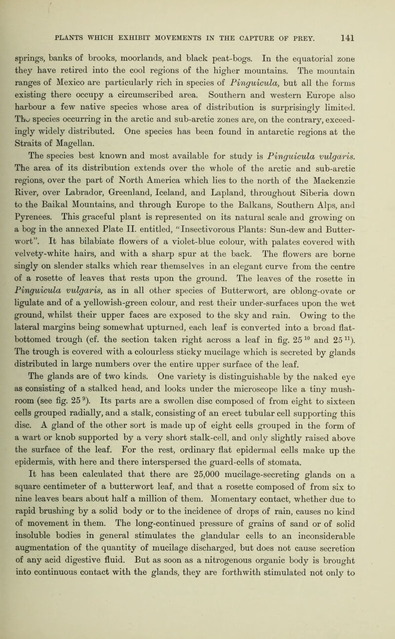 springs, banks of brooks, moorlands, and black peat-bogs. In the equatorial zone they have retired into the cool regions of the higher mountains. The mountain ranges of Mexico are particularly rich in species of Pinguicula, but all the forms existing there occupy a circumscribed area. Southern and western Europe also harbour a few native species whose area of distribution is surprisingly limited. Th^ species occurring in the arctic and sub-arctic zones are, on the contrary, exceed- ingly widely distributed. One species has been found in antarctic regions at the Straits of Magellan. The species best known and most available for study is Pinguicula vulgaris. The area of its distribution extends over the whole of the arctic and sub-arctic regions, over the part of North America which lies to the north of the Mackenzie River, over Labrador, Greenland, Iceland, and Lapland, throughout Siberia down to the Baikal Mountains, and through Europe to the Balkans, Southern Alps, and Pyrenees. This graceful plant is represented on its natural scale and growing on a bog in the annexed Plate II. entitled, “Insectivorous Plants: Sun-dewand Butter- wort”. It has bilabiate flowers of a violet-blue colour, with palates covered with velvety-white hairs, and with a sharp spur at the back. The flowers are borne singly on slender stalks which rear themselves in an elegant curve from the centre of a rosette of leaves that rests upon the ground. The leaves of the rosette in Pinguicula vulgaris, as in all other species of Butterwort, are oblong-ovate or ligulate and of a yellowish-green colour, and rest their under-surfaces upon the wet ground, whilst their upper faces are exposed to the sky and rain. Owing to the lateral margins being somewhat upturned, each leaf is converted into a broad flat- bottomed trough (cf. the section taken right across a leaf in fig. 25 10 and 25 n). The trough is covered with a colourless sticky mucilage which is secreted by glands distributed in large numbers over the entire upper surface of the leaf. The glands are of two kinds. One variety is distinguishable by the naked eye as consisting of a stalked head, and looks under the microscope like a tiny mush- room (see fig. 259). Its parts are a swollen disc composed of from eight to sixteen cells grouped radially, and a stalk, consisting of an erect tubular cell supporting this disc. A gland of the other sort is made up of eight cells grouped in the form of a wart or knob supported by a very short stalk-cell, and only slightly raised above the surface of the leaf. For the rest, ordinary flat epidermal cells make up the epidermis, with here and there interspersed the guard-cells of stomata. It has been calculated that there are 25,000 mucilage-secreting glands on a square centimeter of a butterwort leaf, and that a rosette composed of from six to nine leaves bears about half a million of them. Momentary contact, whether due to rapid brushing by a solid body or to the incidence of drops of rain, causes no kind of movement in them. The long-continued pressure of grains of sand or of solid insoluble bodies in general stimulates the glandular cells to an inconsiderable augmentation of the quantity of mucilage discharged, but does not cause secretion of any acid digestive fluid. But as soon as a nitrogenous organic body is brought into continuous contact with the glands, they are forthwith stimulated not only to