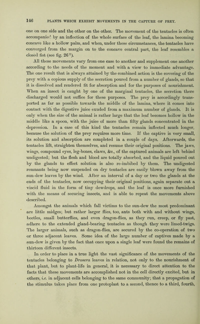 one on one side and the other on the other. The movement of the tentacles is often accompanied by an inflection of the whole surface of the leaf, the lamina becoming concave like a hollow palm, and when, under these circumstances, the tentacles have converged from the margin on to the concave central part, the leaf resembles a closed fist (see fig. 26 2). All these movements vary from one case to another and supplement one another according to the needs of the moment and with a view to immediate advantage. The one result that is always attained by the combined action is the covering of the prey with a copious supply of the secretion poured from a number of glands, so that it is dissolved and rendered fit for absorption and for the pui'poses of nourishment. When an insect is caught by one of the marginal tentacles, the secretion there discharged would not suffice for these purposes. The prey is accordingly trans- ported as far as possible towards the middle of the lamina, where it comes into contact with the digestive juice exuded from a maximum number of glands. It is only when the size of the animal is rather large that the leaf becomes hollow in the middle like a spoon, with the juice of more than fifty glands concentrated in the depression. In a case of this kind the tentacles remain inflected much longer, because the solution of the prey requires more time. If the captive is very small, its solution and absorption are completed in a couple of days. Afterwards, the tentacles lift, straighten themselves, and resume their original positions. The jaws, wings, compound eyes, leg-bones, claws, &c., of the captured animals are left behind undigested; but the flesh and blood are totally absorbed, and the liquid poured out by the glands to effect solution is also re-imbibed by them. The undigested remnants being now suspended on dry tentacles are easily blown away from the sun-dew leaves by the wind. After an interval of a day or two the glands at the ends of the tentacles, now occupying their original positions, again separate out a viscid fluid in the form of tiny dewdrops, and the leaf is once more furnished with the means of securing insects, and is able to repeat the movements above ■described. Amongst the animals which fall victims to the sun-dew the most predominant are little midges; but rather larger flies, too, ants both with and without wings, beetles, small butterflies, and even dragon-flies, as they run, creep, or fly past, adhere to the extended gland-bearing tentacles as though they were limed-twigs. The larger animals, such as dragon-flies, are secured by the co-operation of two or three adjacent leaves. Some idea of the large number of captives made by a sun-dew is given by the fact that once upon a single leaf were found the remains of thirteen different insects. In order to place in a true light the vast significance of the movements of the tentacles belonging to Drosera leaves in relation, not only to the nourishment of that plant, but to plant-life in general, it is necessary to direct attention to the facts that these movements are accomplished not in the cell directly excited, but in others, i.e. in adjacent cells belonging to the same community; that a propagation of the stimulus takes place from one protoplast to a second, thence to a third, fourth,