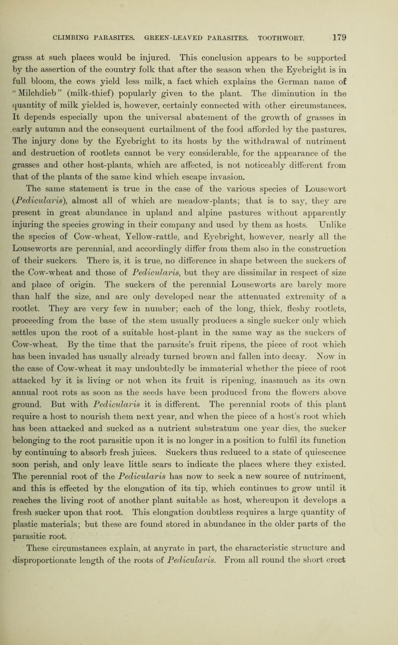 grass at such places would be injured. This conclusion appears to be supported by the assertion of the country folk that after the season when the Eyebright is in full bloom, the cows yield less milk, a fact which explains the German name of “ Milchdieb ” (milk-thief) popularly given to the plant. The diminution in the quantity of milk yielded is, however, certainly connected with other circumstances. It depends especially upon the universal abatement of the growth of grasses in .early autumn and the consequent curtailment of the food afforded by the pastures. The injury done by the Eyebright to its hosts by the withdrawal of nutriment and destruction of rootlets cannot be very considerable, for the appearance of the grasses and other host-plants, which are affected, is not noticeably different from that of the plants of the same kind which escape invasion. The same statement is true in the case of the various species of Lousewort (Pedicularis), almost all of which are meadow-plants; that is to say, they are present in great abundance in upland and alpine pastures without apparently injuring the species growing in their company and used by them as hosts. Unlike the species of Cow-wheat, Yellow-rattle, and Eyebright, however, nearly all the Louseworts are perennial, and accordingly differ from them also in the construction of their suckers. There is, it is true, no difference in shape between the suckers of the Cow-wheat and those of Pedicularis, but they are dissimilar in respect of size and place of origin. The suckers of the perennial Louseworts are barely more than half the size, and are only developed near the attenuated extremity of a rootlet. They are very few in number; each of the long, thick, fleshy rootlets, proceeding from the base of the stem usually produces a single sucker only which settles upon the root of a suitable host-plant in the same way as the suckers of Cow-wheat. By the time that the parasite’s fruit ripens, the piece of root which has been invaded has usually already turned brown and fallen into decay. Now in the case of Cow-wheat it may undoubtedly be immaterial whether the piece of root attacked by it is living or not when its fruit is ripening, inasmuch as its own annual root rots as soon as the seeds have been produced from the flowers above ground. But with Pedicularis it is different. The perennial roots of this plant require a host to nourish them next year, and when the piece of a host’s root which has been attacked and sucked as a nutrient substratum one year dies, the sucker belonging to the root parasitic upon it is no longer in a position to fulfil its function by continuing to absorb fresh juices. Suckers thus reduced to a state of quiescence soon perish, and only leave little scars to indicate the places where they existed. The perennial root of the Pedicularis has now to seek a new source of nutriment, and this is effected by the elongation of its tip, which continues to grow until it reaches the living root of another plant suitable as host, whereupon it develops a fresh sucker upon that root. This elongation doubtless requires a large quantity of plastic materials; but these are found stored in abundance in the older parts of the parasitic root. These circumstances explain, at anyrate in part, the characteristic structure and disproportionate length of the roots of Pedicularis. From all round the short erect