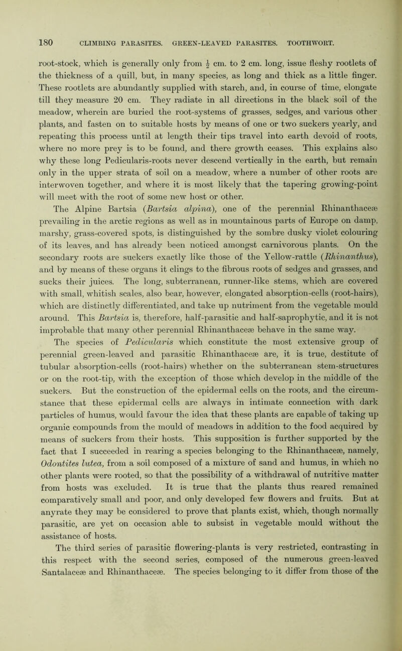 root-stock, which is generally only from \ cm. to 2 cm. long, issue fleshy rootlets of the thickness of a quill, but, in many species, as long and thick as a little finger. These rootlets are abundantly supplied with starch, and, in course of time, elongate till they measui'e 20 cm. They radiate in all directions in the black soil of the meadow, wherein are buried the root-systems of grasses, sedges, and various other plants, and fasten on to suitable hosts by means of one or two suckers yearly, and repeating this process until at length their tips travel into earth devoid of roots, where no more prey is to be found, and there growth ceases. This explains also why these long Pedicularis-roots never descend vertically in the earth, but remain only in the upper strata of soil on a meadow, where a number of other roots are interwoven together, and where it is most likely that the tapering growing-point will meet with the root of some new host or other. The Alpine Bartsia (Bartsia alpina), one of the perennial Rhinanthaceae prevailing in the arctic regions as well as in mountainous parts of Europe on damp, marshy, grass-covered spots, is distinguished by the sombre dusky violet colouring of its leaves, and has already been noticed amongst carnivorous plants. On the secondary roots are suckers exactly like those of the Yellow-rattle (Rhinanthus), and by means of these organs it clings to the fibrous roots of sedges and grasses, and sucks their juices. The long, subtei-ranean, runner-like stems, which are covered with small, whitish scales, also bear, however, elongated absoi-ption-cells (root-hairs), which ai’e distinctly differentiated, and take up nutriment from the vegetable mould around. This Bartsia is, therefore, half-parasitic and half-saprophytic, and it is not improbable that many other perennial Rhinanthacese behave in the same way. The species of Pedicularis which constitute the most extensive group of perennial green-leaved and parasitic Rhinanthacese are, it is true, destitute of tubular absorption-cells (root-hairs) whether on the subterranean stem-structures or on the root-tip, with the exception of those which develop in the middle of the suckers. But the construction of the epidermal cells on the roots, and the circum- stance that these epidermal cells are always in intimate connection with dark particles of humus, would favour the idea that these plants are capable of taking up organic compounds fi'om the mould of meadows in addition to the food acquired by means of suckers from their hosts. This supposition is further supported by the fact that I succeeded in rearing a species belonging to the Rhinanthacese, namely, Odontites lutea, from a soil composed of a mixture of sand and humus, in which no other plants were rooted, so that the possibility of a withdrawal of nutritive matter from hosts was excluded. It is true that the plants thus reared remained comparatively small and pool', and only developed few flowers and fruits. But at anyrate they may be considered to prove that plants exist, which, though normally parasitic, are yet on occasion able to subsist in vegetable mould without the assistance of hosts. The third series of parasitic flowering-plants is very restricted, contrasting in this respect with the second series, composed of the numerous green-leaved Santalaceae and Rhinanthacese. The species belonging to it differ from those of the