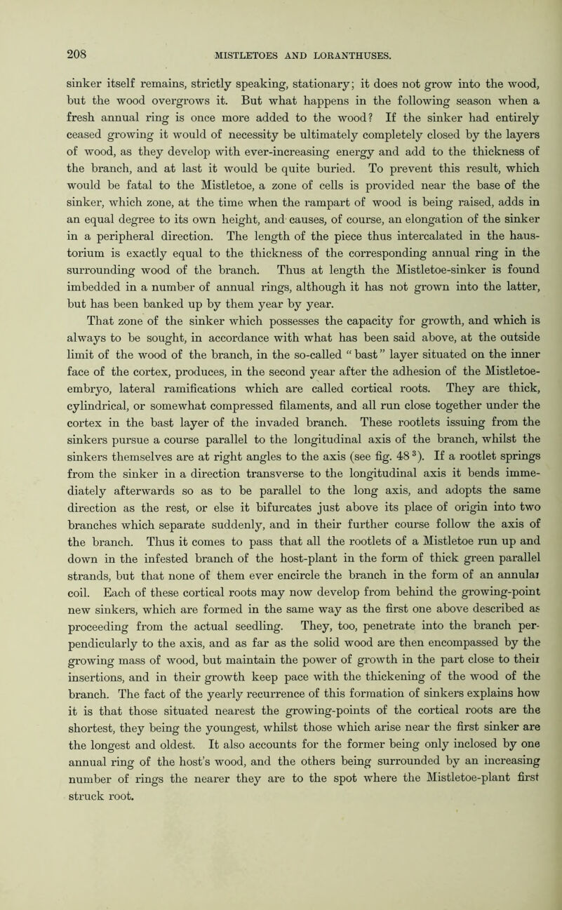 sinker itself remains, strictly speaking, stationary; it does not grow into the wood, but the wood overgrows it. But what happens in the following season when a fresh annual ring is once more added to the wood? If the sinker had entirely ceased growing it would of necessity be ultimately completely closed by the layers of wood, as they develop with ever-increasing energy and add to the thickness of the branch, and at last it would be quite buried. To prevent this result, which would be fatal to the Mistletoe, a zone of cells is provided near the base of the sinker, which zone, at the time when the rampart of wood is being raised, adds in an equal degree to its own height, and causes, of course, an elongation of the sinker in a peripheral direction. The length of the piece thus intercalated in the haus- torium is exactly equal to the thickness of the corresponding annual ring in the surrounding wood of the branch. Thus at length the Mistletoe-sinker is found imbedded in a number of annual rings, although it has not grown into the latter, but has been banked up by them year by year. That zone of the sinker which possesses the capacity for growth, and which is always to be sought, in accordance with what has been said above, at the outside limit of the wood of the branch, in the so-called “ bast ” layer situated on the inner face of the cortex, produces, in the second year after the adhesion of the Mistletoe- embryo, lateral ramifications which are called cortical roots. They are thick, cylindrical, or somewhat compressed filaments, and all run close together under the cortex in the bast layer of the invaded branch. These rootlets issuing from the sinkers pursue a course parallel to the longitudinal axis of the branch, whilst the sinkers themselves are at right angles to the axis (see fig. 483). If a rootlet springs from the sinker in a direction transverse to the longitudinal axis it bends imme- diately afterwards so as to be parallel to the long axis, and adopts the same direction as the rest, or else it bifurcates just above its place of origin into two branches which separate suddenly, and in their further course follow the axis of the branch. Thus it comes to pass that all the rootlets of a Mistletoe run up and down in the infested branch of the host-plant in the form of thick green parallel strands, but that none of them ever encircle the branch in the form of an annulai coil. Each of these cortical roots may now develop from behind the growing-point new sinkers, which are formed in the same way as the first one above described as proceeding from the actual seedling. They, too, penetrate into the branch per- pendicularly to the axis, and as far as the solid wood are then encompassed by the growing mass of wood, but maintain the power of growth in the part close to their insertions, and in their growth keep pace with the thickening of the wood of the branch. The fact of the yearly recurrence of this formation of sinkers explains how it is that those situated nearest the growing-points of the cortical roots are the shortest, they being the youngest, whilst those which arise near the first sinker are the longest and oldest. It also accounts for the former being only inclosed by one annual ring of the host’s wood, and the others being surrounded by an increasing number of rings the nearer they are to the spot where the Mistletoe-plant first struck root.