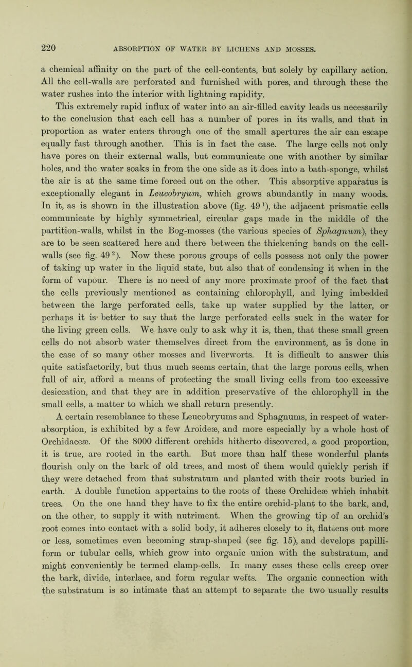a chemical affinity on the part of the cell-contents, but solely by capillary action. All the cell-walls are perforated and furnished with pores, and through these the water rushes into the interior with lightning rapidity. This extremely rapid influx of water into an air-filled cavity leads us necessarily to the conclusion that each cell has a number of pores in its walls, and that in proportion as water enters through one of the small apertures the air can escape equally fast through another. This is in fact the case. The large cells not only have pores on their external walls, but communicate one with another by similar holes, and the water soaks in from the one side as it does into a bath-sponge, whilst the air is at the same time forced out on the other. This absorptive apparatus is exceptionally elegant in Leucobryum, which grows abundantly in many woods. In it, as is shown in the illustration above (fig. 491), the adjacent prismatic cells communicate by highly symmetrical, circular gaps made in the middle of the partition-walls, whilst in the Bog-mosses (the various species of Sphagnum), they are to be seen scattered here and there between the thickening bands on the cell- walls (see fig. 492). Now these porous groups of cells possess not only the power of taking up water in the liquid state, but also that of condensing it when in the form of vapour. There is no need of any more proximate proof of the fact that the cells previously mentioned as containing chlorophyll, and lying imbedded between the large perforated cells, take up water supplied by the latter, or perhaps it is1 better to say that the large perforated cells suck in the water for the living green cells. We have only to ask why it is, then, that these small green cells do not absorb water themselves direct from the environment, as is done in the case of so many other mosses and liverworts. It is difficult to answer this quite satisfactorily, but thus much seems certain, that the large porous cells, when full of air, afford a means of protecting the small living cells fi'om too excessive desiccation, and that they are in addition preservative of the chlorophyll in the small cells, a matter to which we shall return presently. A certain resemblance to these Leucobryums and Sphagnums, in respect of water- absorption, is exhibited by a few Aroideae, and more especially by a whole host of Orchidaceie. Of the 8000 different orchids hitherto discovered, a good proportion, it is true, are rooted in the earth. But more than half these wonderful plants flourish only on the bark of old trees, and most of them would quickly perish if they were detached from that substratum and planted with their roots buried in earth. A double function appertains to the roots of these Orchideae which inhabit trees. On the one hand they have to fix the entire orchid-plant to the bark, and, on the other, to supply it with nutriment. When the growing tip of an orchid’s root comes into contact with a solid body, it adheres closely to it, flattens out more or less, sometimes even becoming strap-shaped (see fig. 15), and develops papilli- form or tubular cells, which grow into organic union with the substratum, and might conveniently be termed clamp-cells. In many cases these cells creep over the bark, divide, interlace, and form regular wefts. The organic connection with the substratum is so intimate that an attempt to separate the two usually results