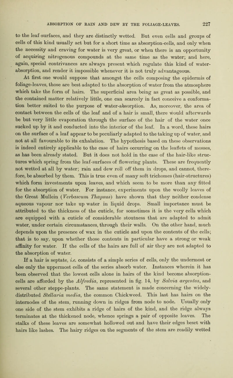 to the leaf-surfaces, and they are distinctly wetted. But even cells and groups of cells of this kind usually act but for a short time as absorption-cells, and only when the necessity and craving for water is very great, or when there is an opportunity of acquiring nitrogenous compounds at the same time as the water; and here, again, special contrivances are always present which regulate this kind of water- absorption, and render it impossible whenever it is not truly advantageous. At first one would suppose that amongst the cells composing the epidermis of foliage-leaves, those are best adapted to the absorption of water from the atmosphere which take the form of hairs. The superficial area being as great as possible, and the contained matter relatively little, one can scarcely in fact conceive a conforma- tion better suited to the purpose of water-absorption. As, moreover, the area of contact between the cells of the leaf and of a hair is small, there would afterwards be but very little evaporation through the surface of the hair of the water once sucked up by it and conducted into the interior of the leaf. In a word, these hairs on the surface of a leaf appear to be peculiarly adapted to the taking up of water, and not at all favourable to its exhalation. The hypothesis based on these observations is indeed entirely applicable to the case of hairs occurring on the leaflets of mosses, as has been already stated. But it does not hold in the case of the hair-like struc- tures which spring from the leaf-surfaces of flowering plants. These are frequently not wetted at all by water; rain and dew roll off them in drops, and cannot, there- fore, be absorbed by them. This is true even of many soft trichomes (hair-structures) which form investments upon leaves, and which seem to be more than any fitted for the absorption of water. For instance, experiments upon the woolly leaves of the Great Mullein (Verbascum Thapsus) have shown that they neither condense aqueous vapour nor take up water in liquid drops. Small importance must be attributed to the thickness of the cuticle, for sometimes it is the very cells which are equipped with a cuticle of considerable stoutness that are adapted to admit water, under certain circumstances, through their walls. On the other hand, much depends upon the presence of wax in the cuticle and upon the contents of the cells; that is to say, upon whether those contents in particular have a strong or weak affinity for water. If the cells of the hairs are full of air they are not adapted to the absorption of water. If a hair is septate, i.e. consists of a simple series of cells, only the undermost or else only the uppermost cells of the series absorb water. Instances wherein it has been observed that the lowest cells alone in hairs of the kind become absorption- cells are afforded by the Alfredia, represented in fig. 14, by Salvia argentea, and several other steppe-plants. The same statement is made concerning the widely- distributed Stellaria media, the common Chickweed. This last has hairs on the intemodes of the stem, running down in ridges from node to node. Usually only one side of the stem exhibits a ridge of hairs of the kind, and the ridge always terminates at the thickened node, whence springs a pair of opposite leaves. The stalks of these leaves are somewhat hollowed out and have their edges beset with hairs like lashes. The hairy ridges on the segments of the stem are readily wetted