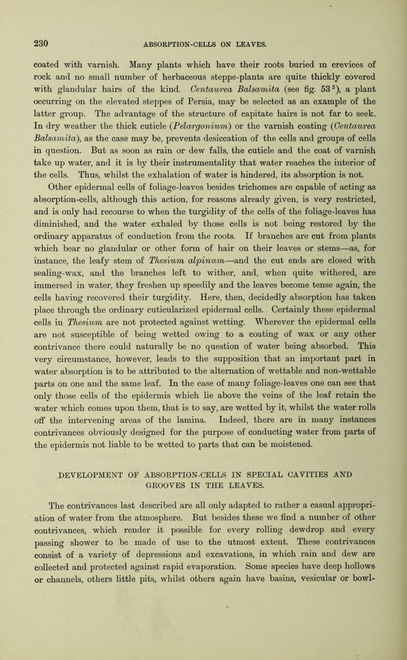 coated with varnish. Many plants which have their roots buried in crevices of rock and no small number of herbaceous steppe-plants are quite thickly covered with glandular hairs of the kind. Centaurea Balsamita (see fig. 533), a plant occurring on the elevated steppes of Persia, may be selected as an example of the latter group. The advantage of the structure of capitate hairs is not far to seek. In dry weather the thick cuticle (Pelargonium) or the varnish coating (Centaurea Balsamita), as the case may be, prevents desiccation of the cells and groups of cells in question. But as soon as rain or dew falls, the cuticle and the coat of varnish take up water, and it is by their instrumentality that water reaches the interior of the cells. Thus, whilst the exhalation of water is hindered, its absorption is not. Other epidermal cells of foliage-leaves besides trichomes are capable of acting as absorption-cells, although this action, for reasons already given, is very restricted, and is only had recourse to when the turgidity of the cells of the foliage-leaves has diminished, and the water exhaled by those cells is not being restored by the ordinary apparatus of conduction from the roots. If branches are cut from plants which bear no glandular or other form of hair on their leaves or stems—as, for instance, the leafy stem of Thesium alpinum—and the cut ends are closed with sealing-wax, and the branches left to wither, and, when quite withered, are immersed in water, they freshen up speedily and the leaves become tense again, the cells having recovered their turgidity. Here, then, decidedly absorption has taken place through the ordinary cuticularized epidermal cells. Certainly these epidermal cells in Thesium are not protected against wetting. Wherever the epidermal cells are not susceptible of being wetted owing to a coating of wax or any other contrivance there could naturally be no question of water being absorbed. This very circumstance, however, leads to the supposition that an important part in water absorption is to be attributed to the alternation of wettable and non-wettable parts on one and the same leaf. In the case of many foliage-leaves one can see that only those cells of the epidermis which lie above the veins of the leaf retain the water which comes upon them, that is to say, are wetted by it, whilst the water rolls off the intervening areas of the lamina. Indeed, there are in many instances contrivances obviously designed for the purpose of conducting water from parts of the epidermis not liable to be wetted to parts that can be moistened. DEVELOPMENT OF ABSORPTION-CELLS IN SPECIAL CAVITIES AND GROOVES IN THE LEAVES. The contrivances last described are all only adapted to rather a casual appropri- ation of water from the atmosphere. But besides these we find a number of other contrivances, which render it possible for every rolling dewdrop and every passing shower to be made of use to the utmost extent. These contrivances consist of a variety of depressions and excavations, in which rain and dew are collected and protected against rapid evaporation. Some species have deep hollows or channels, others little pits, whilst others again have basins, vesicular or bowl-
