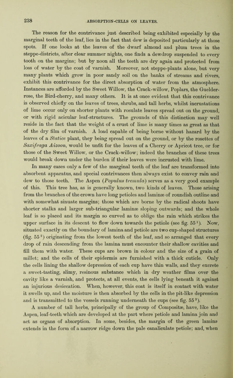 The reason for the contrivance just described being exhibited especially by the marginal teeth of the leaf, lies in the fact that dew is deposited particularly at those spots. If one looks at the leaves of the dwarf almond and plum trees in the steppe-districts, after clear summer nights, one finds a dewdrop suspended to every tooth on the margins; but by noon all the teeth are dry again and protected from loss of water by the coat of varnish. Moreover, not steppe-plants alone, but very many plants which grow in poor sandy soil on the banks of streams and rivers, exhibit this contrivance for the direct absorption of water from the atmosphere. Instances are afforded by the Sweet Willow, the Crack-willow, Poplars, the Guelder- rose, the Bird-cherry, and many others. It is at once evident that this contrivance is observed chiefly on the leaves of trees, shrubs, and tall herbs, whilst incrustations of lime occur only on shorter plants with rosulate leaves spread out on the ground, or with rigid acicular leaf-structures. The grounds of this distinction may well reside in the fact that the weight of a crust of lime is many times as great as that of the dry film of varnish. A load capable of being borne without hazard by the leaves of a Statice plant, they being spread out on the ground, or by the rosettes of Saxifraga Aizoon, would be unfit for the leaves of a Cherry or Apricot tree, or for those of the Sweet Willow, or the Crack-willow; indeed the branches of these trees would break down under the burden if their leaves were incrusted with lime. In many cases only a few of the marginal teeth of the leaf are transformed into absorbent apparatus, and special contrivances then always exist to convey rain and dew to those teeth. The Aspen (Populus tremula) serves as a very good example of this. This tree has, as is generally known, two kinds of leaves. Those arising from the branches of the crown have long petioles and laminae of roundish outline and with somewhat sinuate margins; those which are borne by the radical shoots have shorter stalks and larger sub-triangular laminae sloping outwards; and the whole leaf is so placed and its margin so curved as to oblige the rain which strikes the upper surface in its descent to flow down towards the petiole (see fig. 551). Now, situated exactly on the boundary of lamina and petiole are two cup-shaped structures (fig. 552) originating from the lowest teeth of the leaf, and so arranged that every drop of rain descending from the lamina must encounter their shallow cavities and fill them with water. These cups are brown in colour and the size of a grain of millet; and the cells of their epidermis are furnished with a thick cuticle. Only the cells lining the shallow depression of each cup have thin walls, and they excrete a sweet-tasting, slimy, resinous substance which in dry weather films over the cavity like a varnish, and protects, at all events, the cells lying beneath it against an injurious desiccation. When, however, this coat is itself in contact with water it swells up, and the moisture is then absorbed by the cells in the pit-like depression and is transmitted to the vessels running underneath the cups (see fig. 55 3). A number of tall herbs, principally of the group of Compositae, have, like the Aspen, leaf-teeth which are developed at the part where petiole and lamina join and act as organs of absorption. In some, besides, the margin of the green lamina extends in the form of a narrow ridge down the pale canaliculate petiole; and, when