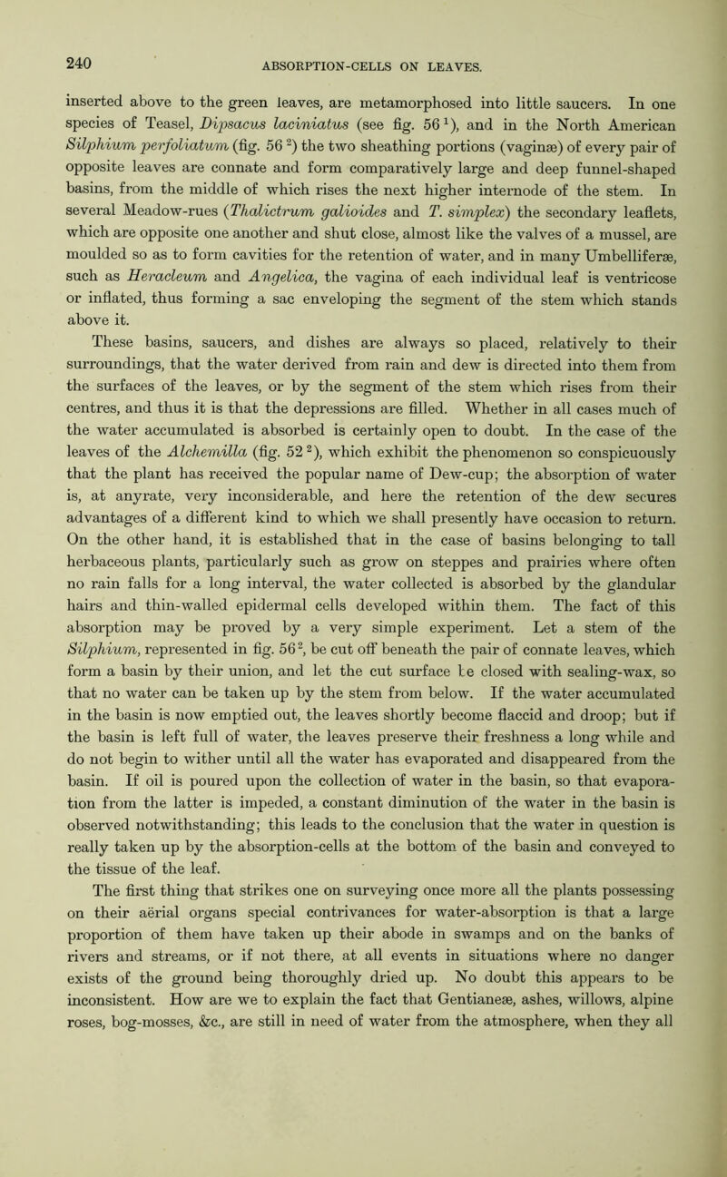 inserted above to the green leaves, are metamorphosed into little saucers. In one species of Teasel, Dipsacus laciniatus (see fig. 56 1), and in the North American Silphium perfoliatum (fig. 56 2) the two sheathing portions (vaginae) of every pair of opposite leaves are connate and form comparatively large and deep funnel-shaped basins, from the middle of which rises the next higher internode of the stem. In several Meadow-rues (Tlialictrum galioides and T. simplex) the secondary leaflets, which are opposite one another and shut close, almost like the valves of a mussel, are moulded so as to form cavities for the retention of water, and in many Umbelliferse, such as Heracleum and Angelica, the vagina of each individual leaf is ventricose or inflated, thus forming a sac enveloping the segment of the stem which stands above it. These basins, saucers, and dishes are always so placed, relatively to their surroundings, that the water derived from rain and dew is directed into them from the surfaces of the leaves, or by the segment of the stem which rises from their centres, and thus it is that the depressions are filled. Whether in all cases much of the water accumulated is absorbed is certainly open to doubt. In the case of the leaves of the Alchemilla (fig. 52 2), which exhibit the phenomenon so conspicuously that the plant has received the popular name of Dew-cup; the absorption of water is, at anyrate, very inconsiderable, and here the retention of the dew secures advantages of a different kind to which we shall presently have occasion to return. On the other hand, it is established that in the case of basins belonging to tall herbaceous plants, particularly such as grow on steppes and prairies where often no rain falls for a long interval, the water collected is absorbed by the glandular hairs and thin-walled epidermal cells developed within them. The fact of this absorption may be proved by a very simple experiment. Let a stem of the Silphium, represented in fig. 562, be cut off beneath the pair of connate leaves, which form a basin by their union, and let the cut surface be closed with sealing-wax, so that no water can be taken up by the stem from below. If the water accumulated in the basin is now emptied out, the leaves shortly become flaccid and droop; but if the basin is left full of water, the leaves preserve their freshness a long while and do not begin to wither until all the water has evaporated and disappeared from the basin. If oil is poured upon the collection of water in the basin, so that evapora- tion from the latter is impeded, a constant diminution of the water in the basin is observed notwithstanding; this leads to the conclusion that the water in question is really taken up by the absorption-cells at the bottom of the basin and conveyed to the tissue of the leaf. The first thing that strikes one on surveying once more all the plants possessing on their aerial organs special contrivances for water-absorption is that a large proportion of them have taken up their abode in swamps and on the banks of rivers and streams, or if not there, at all events in situations where no danger exists of the ground being thoroughly dried up. No doubt this appears to be inconsistent. How are we to explain the fact that Gentianeae, ashes, willows, alpine roses, bog-mosses, &c., are still in need of water from the atmosphere, when they all