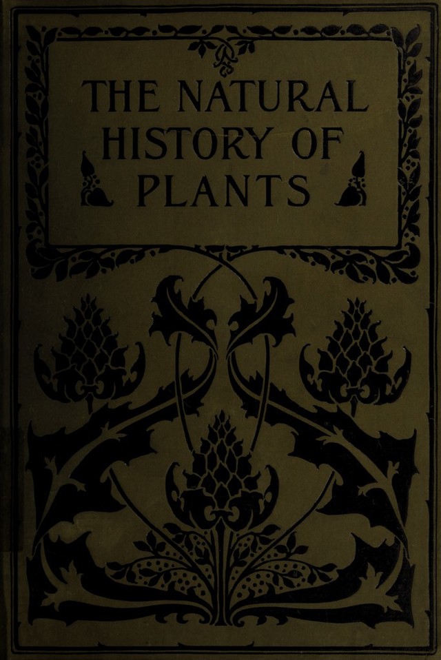 digitised image 1