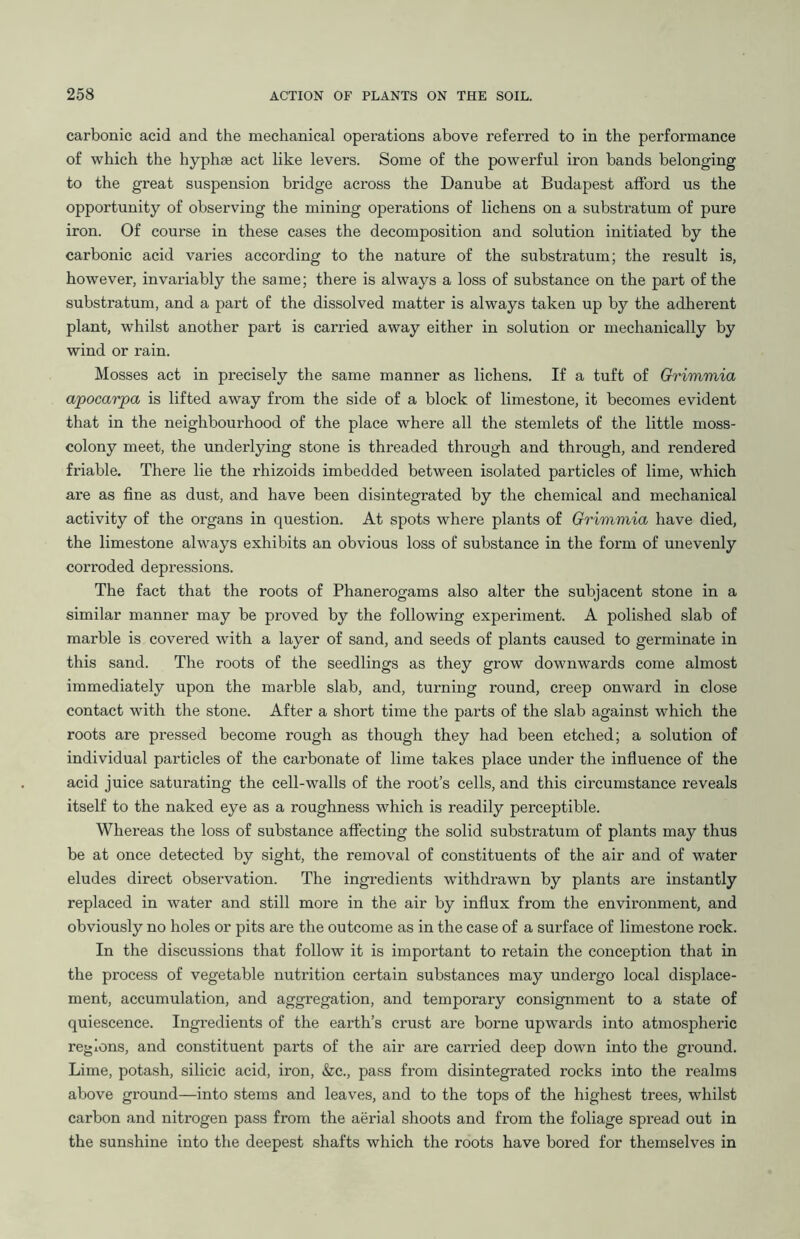 carbonic acid and the mechanical operations above referred to in the performance of which the hyphse act like levers. Some of the powerful iron bands belonging to the great suspension bridge across the Danube at Budapest afford us the opportunity of observing the mining operations of lichens on a substratum of pure iron. Of course in these cases the decomposition and solution initiated by the carbonic acid varies according to the nature of the substratum; the result is, however, invariably the same; there is always a loss of substance on the part of the substratum, and a part of the dissolved matter is always taken up by the adherent plant, whilst another part is carried away either in solution or mechanically by wind or rain. Mosses act in precisely the same manner as lichens. If a tuft of Grimmia apocarpa is lifted away from the side of a block of limestone, it becomes evident that in the neighbourhood of the place where all the stemlets of the little moss- colony meet, the underlying stone is threaded through and through, and rendered friable. There lie the rhizoids imbedded between isolated particles of lime, which are as fine as dust, and have been disintegrated by the chemical and mechanical activity of the organs in question. At spots where plants of Grimmia have died, the limestone always exhibits an obvious loss of substance in the form of unevenly corroded depressions. The fact that the roots of Phanerogams also alter the subjacent stone in a similar manner may be proved by the following experiment. A polished slab of marble is covered with a layer of sand, and seeds of plants caused to germinate in this sand. The roots of the seedlings as they grow downwards come almost immediately upon the marble slab, and, turning round, creep onward in close contact with the stone. After a short time the parts of the slab against which the roots are pressed become rough as though they had been etched; a solution of individual particles of the carbonate of lime takes place under the influence of the acid juice saturating the cell-walls of the root’s cells, and this circumstance reveals itself to the naked eye as a roughness which is readily perceptible. Whereas the loss of substance affecting the solid substratum of plants may thus be at once detected by sight, the removal of constituents of the air and of water eludes direct observation. The ingredients withdrawn by plants are instantly replaced in water and still more in the air by influx from the environment, and obviously no holes or pits are the outcome as in the case of a surface of limestone rock. In the discussions that follow it is important to retain the conception that in the process of vegetable nutrition certain substances may undergo local displace- ment, accumulation, and aggregation, and temporary consignment to a state of quiescence. Ingredients of the earth’s crust are borne upwards into atmospheric regions, and constituent parts of the air are carried deep down into the ground. Lime, potash, silicic acid, iron, &c., pass from disintegrated rocks into the realms above ground—into stems and leaves, and to the tops of the highest trees, whilst carbon and nitrogen pass from the aerial shoots and from the foliage spread out in the sunshine into the deepest shafts which the roots have bored for themselves in