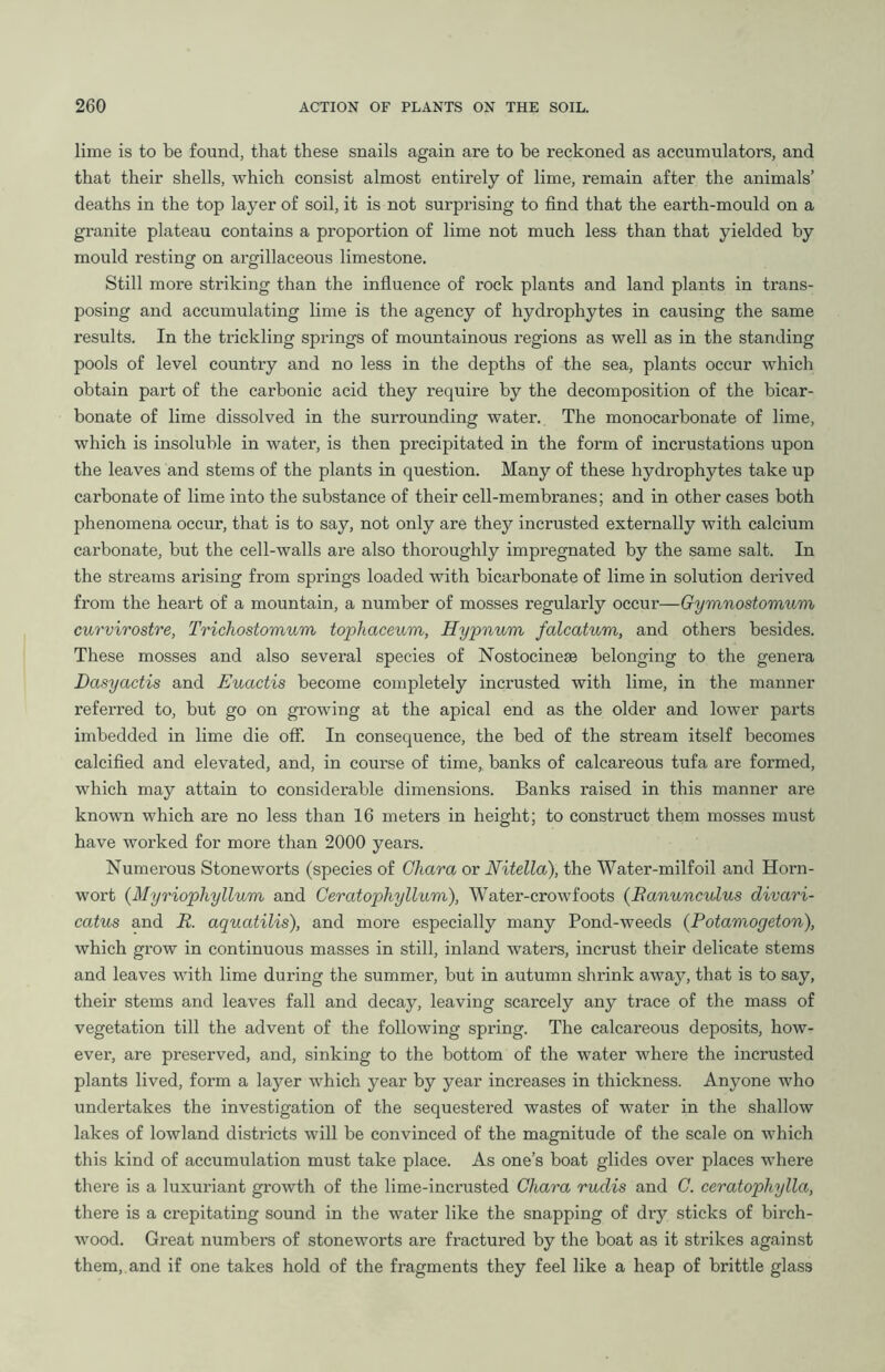 lime is to be found, that these snails again are to be reckoned as accumulators, and that their shells, which consist almost entirely of lime, remain after the animals’ deaths in the top layer of soil, it is not surprising to find that the earth-mould on a granite plateau contains a proportion of lime not much less than that yielded by mould resting on argillaceous limestone. Still more striking than the influence of rock plants and land plants in trans- posing and accumulating lime is the agency of hydrophytes in causing the same results. In the trickling springs of mountainous regions as well as in the standing pools of level country and no less in the depths of the sea, plants occur which obtain part of the carbonic acid they require by the decomposition of the bicar- bonate of lime dissolved in the surrounding water. The monocarbonate of lime, which is insoluble in water, is then precipitated in the form of incrustations upon the leaves and stems of the plants in question. Many of these hydrophytes take up carbonate of lime into the substance of their cell-membranes; and in other cases both phenomena occur, that is to say, not only are they incrusted externally with calcium carbonate, but the cell-walls are also thoroughly impregnated by the same salt. In the streams arising from springs loaded with bicarbonate of lime in solution derived from the heart of a mountain, a number of mosses regularly occur—Gymnostomum curvirostre, Trichostomum tophaceum, Hypnum falcatum, and others besides. These mosses and also several species of Nostocinese belonging to the genera Dasyactis and Euactis become completely incrusted with lime, in the manner referred to, but go on growing at the apical end as the older and lower parts imbedded in lime die off. In consequence, the bed of the stream itself becomes calcified and elevated, and, in course of time, banks of calcareous tufa are formed, which may attain to considerable dimensions. Banks raised in this manner are known which are no less than 16 meters in height; to construct them mosses must have worked for more than 2000 years. Numerous Stoneworts (species of Chara or Nitella), the Water-milfoil and Horn- wort (Myriophyllum and Ceratophyllum), Water-crowfoots (Ranunculus divari- catus and R. aquatilis), and more especially many Pond-weeds (Potamogeton), which grow in continuous masses in still, inland waters, incrust their delicate stems and leaves with lime during the summer, but in autumn shrink away, that is to say, their stems and leaves fall and decay, leaving scarcely any trace of the mass of vegetation till the advent of the following spring. The calcareous deposits, how- ever, are preserved, and, sinking to the bottom of the water where the incrusted plants lived, form a layer which year by year increases in thickness. Anyone who undertakes the investigation of the sequestered wastes of water in the shallow lakes of lowland districts will be convinced of the magnitude of the scale on which this kind of accumulation must take place. As one’s boat glides over places where there is a luxuriant growth of the lime-incrusted Chara rudis and C. ceratophylla, there is a crepitating sound in the water like the snapping of dry sticks of birch- wood. Great numbers of stoneworts are fractured by the boat as it strikes against them, and if one takes hold of the fragments they feel like a heap of brittle glass