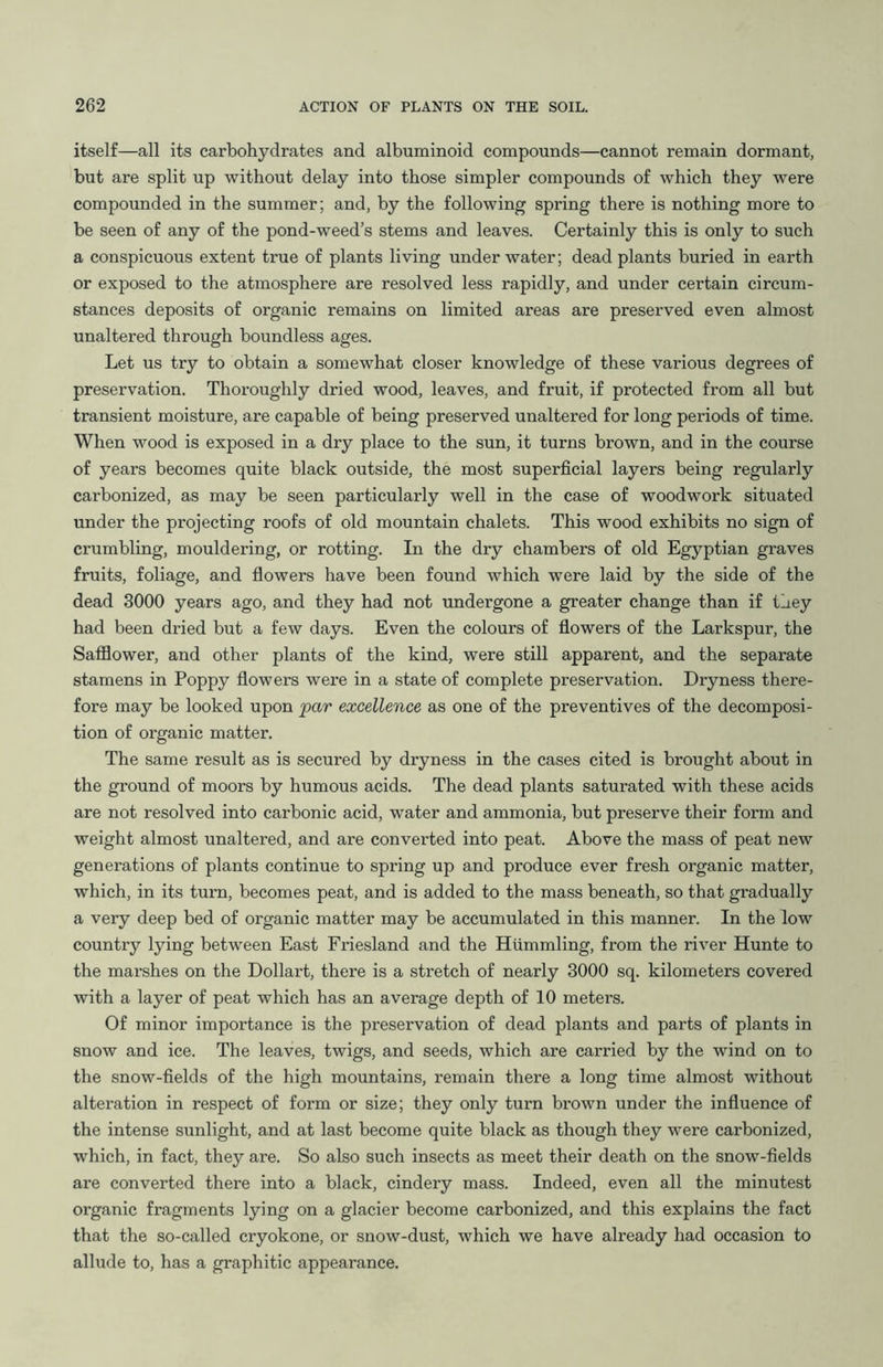 itself—all its carbohydrates and albuminoid compounds—cannot remain dormant, but are split up without delay into those simpler compounds of which they were compounded in the summer; and, by the following spring there is nothing more to be seen of any of the pond-weed’s stems and leaves. Certainly this is only to such a conspicuous extent true of plants living under water; dead plants buried in earth or exposed to the atmosphere are resolved less rapidly, and under certain circum- stances deposits of organic remains on limited areas are preserved even almost unaltered through boundless ages. Let us try to obtain a somewhat closer knowledge of these various degrees of preservation. Thoroughly dried wood, leaves, and fruit, if protected from all but transient moisture, are capable of being preserved unaltered for long periods of time. When wood is exposed in a dry place to the sun, it turns brown, and in the course of years becomes quite black outside, the most superficial layers being regularly carbonized, as may be seen particularly well in the case of woodwork situated under the projecting roofs of old mountain chalets. This wood exhibits no sign of crumbling, mouldering, or rotting. In the dry chambers of old Egyptian graves fruits, foliage, and flowers have been found which were laid by the side of the dead 3000 years ago, and they had not undergone a greater change than if they had been dried but a few days. Even the colours of flowers of the Larkspur, the Safflower, and other plants of the kind, were still apparent, and the separate stamens in Poppy flowers were in a state of complete preservation. Dryness there- fore may be looked upon par excellence as one of the preventives of the decomposi- tion of organic matter. The same result as is secured by dryness in the cases cited is brought about in the ground of moors by humous acids. The dead plants saturated with these acids are not resolved into carbonic acid, water and ammonia, but preserve their form and weight almost unaltered, and are converted into peat. Above the mass of peat new generations of plants continue to spring up and produce ever fresh organic matter, which, in its turn, becomes peat, and is added to the mass beneath, so that gradually a very deep bed of organic matter may be accumulated in this manner. In the low country lying between East Friesland and the Hiimmling, from the river Hunte to the marshes on the Dollart, there is a stretch of nearly 3000 sq. kilometers covered with a layer of peat which has an average depth of 10 meters. Of minor importance is the preservation of dead plants and parts of plants in snow and ice. The leaves, twigs, and seeds, which are carried by the wind on to the snow-fields of the high mountains, remain there a long time almost without alteration in respect of form or size; they only turn brown under the influence of the intense sunlight, and at last become quite black as though they were carbonized, which, in fact, they are. So also such insects as meet their death on the snow-fields are converted there into a black, cindery mass. Indeed, even all the minutest organic fragments lying on a glacier become carbonized, and this explains the fact that the so-called cryokone, or snow-dust, which we have already had occasion to allude to, has a graphitic appearance.