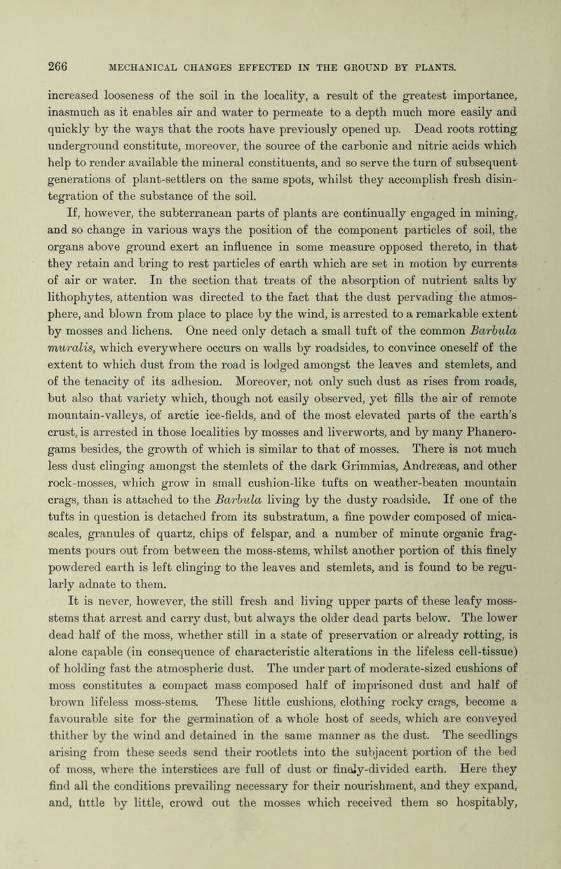 increased looseness of the soil in the locality, a result of the greatest importance, inasmuch as it enables air and water to permeate to a depth much more easily and quickly by the ways that the roots have previously opened up. Dead roots rotting underground constitute, moreover, the source of the carbonic and nitric acids which help to render available the mineral constituents, and so serve the turn of subsequent generations of plant-settlers on the same spots, whilst they accomplish fresh disin- tegration of the substance of the soil. If, however, the subterranean parts of plants are continually engaged in mining, and so change in various ways the position of the component particles of soil, the organs above ground exert an influence in some measure opposed thereto, in that they retain and bring to rest particles of earth which are set in motion by currents of air or water. In the section that treats of the absorption of nutrient salts by lithophytes, attention was directed to the fact that the dust pervading the atmos- phere, and blown from place to place by the wind, is arrested to a remarkable extent by mosses and lichens. One need only detach a small tuft of the common Barbula muralis, which everywhere occurs on walls by roadsides, to convince oneself of the extent to which dust from the road is lodged amongst the leaves and stemlets, and of the tenacity of its adhesion. Moreover, not only such dust as rises from roads, but also that variety which, though not easily observed, yet fills the air of remote mountain-valleys, of arctic ice-fields, and of the most elevated parts of the earth’s crust, is arrested in those localities by mosses and liverworts, and by many Phanero- gams besides, the growth of which is similar to that of mosses. There is not much less dust clinging amongst the stemlets of the dark Grimmias, Andreseas, and other rock-mosses, which grow in small cushion-like tufts on weather-beaten mountain crags, than is attached to the Barbula living by the dusty roadside. If one of the tufts in question is detached from its substratum, a fine powder composed of mica- scales, granules of quartz, chips of felspar, and a number of minute organic frag- ments pours out from between the moss-stems, whilst another portion of this finely powdered earth is left clinging to the leaves and stemlets, and is found to be regu- larly adnate to them. It is never, however, the still fresh and living upper parts of these leafy moss- stems that arrest and carry dust, but always the older dead parts below. The lower dead half of the moss, whether still in a state of preservation or already rotting, is alone capable (in consequence of characteristic alterations in the lifeless cell-tissue) of holding fast the atmospheric dust. The under part of moderate-sized cushions of moss constitutes a compact mass composed half of imprisoned dust and half of brown lifeless moss-stems. These little cushions, clothing rocky crags, become a favourable site for the germination of a whole host of seeds, which are conveyed thither by the wind and detained in the same manner as the dust. The seedlings arising from these seeds send their rootlets into the subjacent portion of the bed of moss, where the interstices are full of dust or finaly-divided earth. Here they find all the conditions prevailing necessary for their nourishment, and they expand, and, little by little, crowd out the mosses which received them so hospitably,