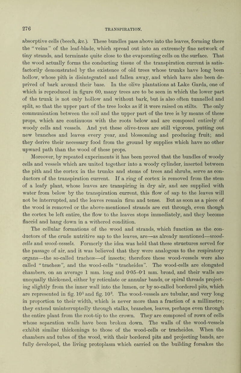 absorptive cells (beech, &c.). These bundles pass above into the leaves, forming there the “ veins ” of the leaf-blade, which spread out into an extremely fine network of tiny strands, and terminate quite close to the evaporating cells on the surface. That the wood actually forms the conducting tissue of the transpiration current is satis- factorily demonstrated by the existence of old trees whose trunks have long been hollow, whose pith is disintegrated and fallen away, and which have also been de- prived of bark around their base. In the olive plantations at Lake Garda, one of which is reproduced in figure 60, many trees are to be seen in which the lower part of the trunk is not only hollow and without bark, but is also often tunnelled and split, so that the upper part of the tree looks as if it were raised on stilts. The only communication between the soil and the upper part of the tree is by means of these props, which are continuous with the roots below and are composed entirely of woody cells and vessels. And yet these olive-trees are still vigorous, putting out new branches and leaves every year, and blossoming and producing fruit; and they derive their necessary food from the ground by supplies which have no other upward path than the wood of these props. Moreover, by repeated experiments it has been proved that the bundles of woody cells and vessels which are united together into a woody cylinder, inserted between the pith and the cortex in the trunks and stems of trees and shrubs, serve as con- ductors of the transpiration current. If a ring of cortex is removed from the stem of a leafy plant, whose leaves are transpiring in dry air, and are supplied with water from below by the transpiration current, this flow of sap to the leaves will not be interrupted, and the leaves remain firm and tense. But as soon as a piece of the wood is removed or the above-mentioned strands are cut through, even though the cortex be left entire, the flow to the leaves stops immediately, and they become flaccid and hang down in a withered condition. The cellular formations of the wood and strands, which function as the con- ductors of the crude nutritive sap to the leaves, are—as already mentioned—wood- cells and wood-vessels. Formerly the idea was held that these structures served for the passage of air, and it was believed that they were analogous to the respiratory organs—the so-called tracheae—of insects; therefore these wood-vessels were also called “tracheae”, and the wood-cells “tracheides”. The wood-cells are elongated chambers, on an average 1 mm. long and 005-0T mm. broad, and their walls are unequally thickened, either by reticulate or annular bands, or spiral threads project- ing slightly from the inner wall into the lumen, or by so-called bordered pits, which are represented in fig. 101 and fig. 102. The wood-vessels are tubular, and very long in proportion to their width, which is never more than a fraction of a millimetre; they extend uninterruptedly through stalks, branches, leaves, perhaps even through the entire plant from the l'oot-tip to the crown. They are composed of rows of cells whose separation walls have been broken down. The walls of the wood-vessels exhibit similar thickenings to those of the wood-cells or tracheides. When the chambers and tubes of the wood, with their bordered pits and projecting bands, are fully developed, the living protoplasm which carried on the building forsakes the