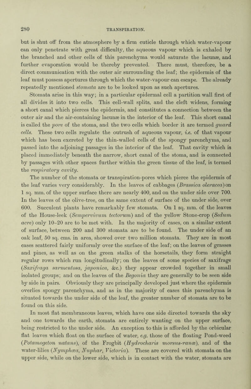 but is shut off from the atmosphere by a firm cuticle through which water-vapour can only penetrate with great difficulty, the aqueous vapour which is exhaled by the branched and other cells of this parenchyma would saturate the lacunae, and further evaporation would be thereby prevented. There must, therefore, be a direct communication with the outer air surrounding the leaf; the epidermis of the leaf must possess apertures through which the water-vapour can escape. The already repeatedly mentioned stomata are to be looked upon as such apertures. Stomata arise in this way; in a particular epidermal cell a partition wall first of all divides it into two cells. This cell-wall splits, and the cleft widens, forming a short canal which pierces the epidermis, and constitutes a connection between the outer air and the air-containing’ lacunae in the interior of the leaf. This short canal is called the pore of the stoma, and the two cells which border it are termed guard cells. These two cells regulate the outrush of aqueous vapour, i.e. of that vapour which has been excreted by the thin-walled cells of the spongy parenchyma, and passed into the adjoining passages in the interior of the leaf. That cavity which is placed immediately beneath the narrow, short canal of the stoma, and is connected by passages with other spaces further within the green tissue of the leaf, is termed the respiratory cavity. The number of the stomata or transpiration-pores which pierce the epidermis of the leaf varies very considerably. In the leaves of cabbages (Brassica oleracea) on 1 sq. mm. of the upper surface there are neaidy 400, and on the under side over 700. In the leaves of the olive-tree, on the same extent of surface of the under side, over 600. Succulent plants have remarkably few stomata. On 1 sq. mm. of the leaves of the House-leek (Sempervivum tectorum) and of the yellow Stone-crop (Seclum acre) only 10-20 are to be met with. In the majority of cases, on a similar extent of surface, between 200 and 300 stomata are to be found. The under side of an oak leaf, 50 sq. cms. in area, showed over two million stomata. They are in most cases scattered fairly uniformly over the surface of the leaf; on the leaves of grasses and pines, as well as on the green stalks of the horsetails, they form straight regular rows which run longitudinally; on the leaves of some species of saxifrage (Saxifraga sarmentosa, japonica, &c.) they appear crowded together in small isolated groups; and on the leaves of the Begonia they are generally to be seen side by side in pairs. Obviously they are principally developed just where the epidermis overlies spongy pai-enchyma, and as in the majoi’ity of cases this pai’enchyma is situated towai-ds the under side of the leaf, the gi-eater number of stomata are to be found on this side. In most flat membi'aneous leaves, which have one side directed towards the sky and one towai’ds the earth, stomata are entii-ely wanting on the upper surface, being restricted to the under side. An exception to this is afforded by the orbicular flat leaves which float on the surface of watei', e.g. those of the floating Pond-weed (Potamogeton natans), of the Fi-ogbit (Hydrocharis morsus-rance), and of the water-lilies (Nymphcea, Nuphar, Victoria). These are covered with stomata on the upper side, while on the lower side, which is in contact with the water, stomata ai'e