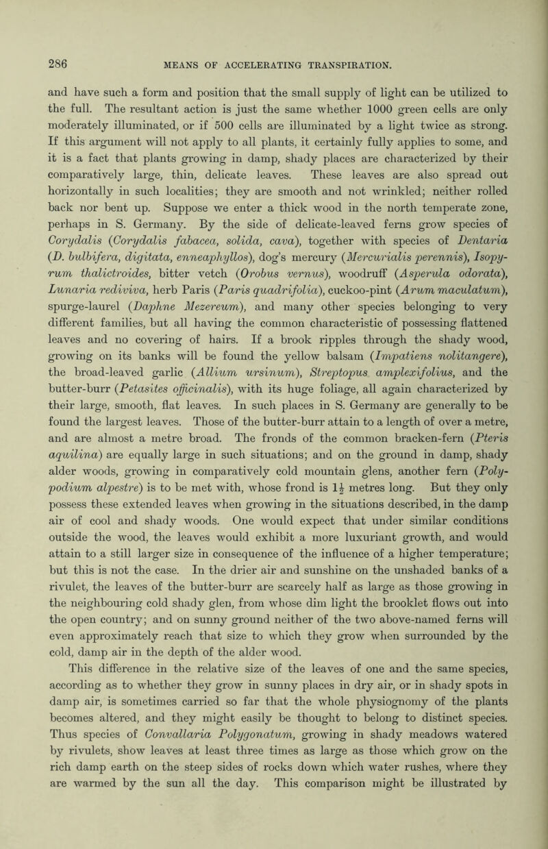 and have such a form and position that the small supply of light can be utilized to the full. The resultant action is just the same whether 1000 green cells are only moderately illuminated, or if 500 cells are illuminated by a light twice as strong. If this argument will not apply to all plants, it certainly fully applies to some, and it is a fact that plants growing in damp, shady places are characterized by their comparatively large, thin, delicate leaves. These leaves are also spread out horizontally in such localities; they are smooth and not wrinkled; neither rolled back nor bent up. Suppose we enter a thick wood in the north temperate zone, perhaps in S. Germany. By the side of delicate-leaved ferns grow species of Corydalis (Corydalis fabacea, solida, cava), together with species of Dentaria (D. bulbifera, digitata, enneaphyllos), dog’s mercury (Mercurialis perennis), Isopy- rum thalictroides, bitter vetch (Orobus vernus), woodruff (Aspecula odorata), Lunaria rediviva, herb Paris (Paris quadrifolia), cuckoo-pint (Arum maculatum), spurge-laurel (Daphne Mezereum), and many other species belonging to very different families, but all having the common characteristic of possessing flattened leaves and no covering of hairs. If a brook ripples through the shady wood, growing on its banks will be found the yellow balsam (Impatiens nolitangere), the broad-leaved garlic (Allium ursinum), Streptopus amplexifolius, and the butter-burr (Petasites officinalis), with its huge foliage, all again characterized by their large, smooth, flat leaves. In such places in S. Germany are generally to be found the largest leaves. Those of the butter-burr attain to a length of over a metre, and are almost a metre broad. The fronds of the common bracken-fern (Pteris aquilina) are equally large in such situations; and on the ground in damp, shady alder woods, growing in comparatively cold mountain glens, another fern (Poly- podium alpestre) is to be met with, whose frond is 1^ metres long. But they only possess these extended leaves when growing in the situations described, in the damp air of cool and shady woods. One would expect that under similar conditions outside the wood, the leaves would exhibit a more luxuriant growth, and would attain to a still larger size in consequence of the influence of a higher temperature; but this is not the case. In the drier air and sunshine on the unshaded banks of a rivulet, the leaves of the butter-burr are scarcely half as large as those growing in the neighbouring cold shady glen, from whose dim light the brooklet flows out into the open country; and on sunny ground neither of the two above-named ferns will even approximately reach that size to which they grow when surrounded by the cold, damp air in the depth of the alder wood. This difference in the relative size of the leaves of one and the same species, according as to whether they grow in sunny places in dry air, or in shady spots in damp air, is sometimes carried so far that the whole physiognomy of the plants becomes altered, and they might easily be thought to belong to distinct species. Thus species of Gonvallaria Polygonatum, growing in shady meadows watered by rivulets, show leaves at least three times as large as those which grow on the rich damp earth on the steep sides of rocks down which water rushes, where they are warmed by the sun all the day. This comparison might be illustrated by