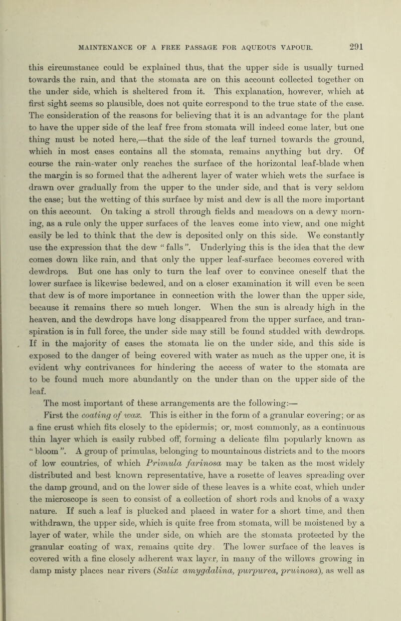 this circumstance could be explained thus, that the upper side is usually turned towards the rain, and that the stomata are on this account collected together on the under side, which is sheltered from it. This explanation, however, which at first sight seems so plausible, does not quite correspond to the true state of the case. The consideration of the reasons for believing that it is an advantage for the plant to have the upper side of the leaf free from stomata will indeed come later, but one thing must be noted here,—that the side of the leaf turned towards the ground, which in most cases contains all the stomata, remains anything but dry. Of course the rain-water only reaches the surface of the horizontal leaf-blade when the margin is so formed that the adherent layer of water which wets the surface is drawn over gradually from the upper to the under side, and that is very seldom the case; but the wetting of this surface by mist and dew is all the more important on this account. On taking a stroll through fields and meadows on a dewy morn- ing, as a rule only the upper surfaces of the leaves come into view, and one might easily be led to think that the dew is deposited only on this side. We constantly use the expression that the dew “ falls Underlying this is the idea that the dew comes down like rain, and that only the upper leaf-surface becomes covered with dewdrops. But one has only to turn the leaf over to convince oneself that the lower surface is likewise bedewed, and on a closer examination it will even be seen that dew is of more importance in connection with the lower than the upper side, because it remains there so much longer. When the sun is already high in the heaven, and the dewdrops have long disappeared from the upper surface, and tran- spiration is in full force, the under side may still be found studded with dewdrops. If in the majority of cases the stomata lie on the under side, and this side is exposed to the danger of being covered with water as much as the upper one, it is evident why contrivances for hindering the access of water to the stomata are to be found much more abundantly on the under than on the upper side of the leaf. The most important of these arrangements are the following:— First the coating of wax. This is either in the form of a granular covering; or as a fine crust which fits closely to the epidermis; or, most commonly, as a continuous thin layer which is easily rubbed off, forming a delicate film popularly known as “ bloom ”. A group of primulas, belonging to mountainous districts and to the moors of low countries, of which Primula farinosa may be taken as the most widely distributed and best known representative, have a rosette of leaves spreading over the damp ground, and on the lower side of these leaves is a white coat, which under the microscope is seen to consist of a collection of short rods and knobs of a waxy nature. If such a leaf is plucked and placed in water for a short time, and then withdrawn, the upper side, which is quite free from stomata, will be moistened by a layer of water, while the under side, on which are the stomata protected by the granular coating of wax, remains quite dry. The lower surface of the leaves is covered with a fine closely adherent wax layer, in many of the willows growing in damp misty places near rivers (Salix amygdalina, purpurea, pruinosa), as well as