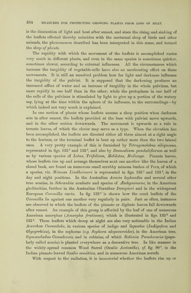 is the diminution of light and heat after sunset, and since the rising and sinking of the leaflets effected thereby coincides with the nocturnal sleep of birds and other animals, the phenomenon described has been interpreted in this sense, and termed the sleep of plants. The rapidity with which the movement of the leaflets is accomplished varies very much in different plants, and even in the same species is sometimes quicker, sometimes slower, according to external influences. All the circumstances which increase the turgidity of vegetable-cells have also an accelerating effect on these movements. It is still an unsolved problem how far light and darkness influence the turgidity of the pulvini. It is supposed that the darkening produces an increased afflux of water and an increase of turgidity in the whole pulvinus, but more rapidly in one half than in the other; while the protoplasm in one half of the cells of the pulvinus is stimulated by light to give up a portion of the watery sap, lying at the time within the sphere of its influence, to the surroundings—by which indeed not very much is explained. In one section of plants whose leaflets assume a sleep position when darkness sets in after sunset, the leaflets provided at the base with pulvini move upwards, and in the other section downwards. The movement is upwards as a rule in ternate leaves, of which the clover may serve as a type. When the elevation has been accomplished, the leaflets are directed either all three almost at a right angle to the horizon, or the terminal leaflet is bent up rather more than the two lateral ones. A very pretty example of this is furnished by Tetragonolobus siliquosus, represented in figs. 1337 and 133 8, and also by Desmodium penduliflorum as well as by various species of Lotus, Trifolium, Melilotus, Medicago. Pinnate leaves, whose leaflets rise up and arrange themselves next one another like the leaves of a closed book, are found on numerous small scrubby mimosa bushes of Peru, of which a species, viz. Mimosa Lindheimeri is represented in figs. 133 1 and 1332, in the day and night positions. In the Australian Acacia lophantha and several other true acacias, in Schrankia aculeata and species of /Eschynomene, in the American gleditschias, further in the Australian Glianthus Dampieri and in the widespread Eui’opean Coronilla varia. In fig. 1336 is shown how the erect leaflets of the Coronilla lie against one another very regularly in pairs. Just as often, instances are observed in which the leaflets of the pinnate or digitate leaves fall downwards after sunset. An example of this group is afforded by the leaf of one of numerous American amorphas (Amorpha fruticosa), which is illustrated in figs. 1333 and 1334. These leaflets which droop at night are also very noticeable in the Indian Averrhoa Carambola, in various species of indigo and liquorice (Indigofera and Glycyrrhiza), in the sophoras (e.g. Sophora alopecuroides), in the American tree, Gymnocladus Canadensis, and in robinias, of which Robinia Pseudacacia (popu- larly called acacia) is planted everywhere as a decorative tree. In like manner in the widely-spread common Wood Sorrel (Oxalis Acetosella), cf. fig. 90 s, in the Indian pinnate-leaved Oxalis sensitiva, and in numerous American sorrels. With respect to the radiation, it is immaterial whether the leaflets rise up or