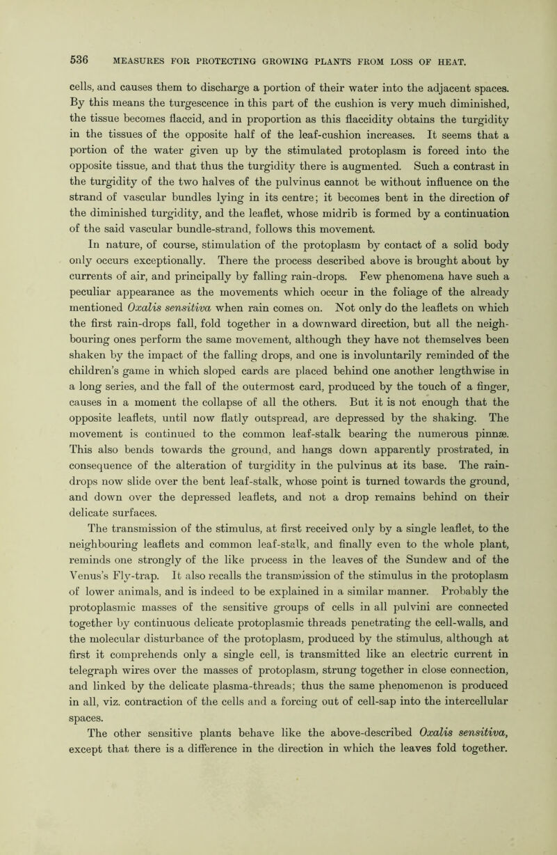 cells, and causes them to discharge a portion of their water into the adjacent spaces. By this means the turgescence in this part of the cushion is very much diminished, the tissue becomes flaccid, and in proportion as this flaccidity obtains the turgidity in the tissues of the opposite half of the leaf-cushion increases. It seems that a portion of the water given up by the stimulated protoplasm is forced into the opposite tissue, and that thus the turgidity there is augmented. Such a contrast in the turgidity of the two halves of the pulvinus cannot be without influence on the strand of vascular bundles lying in its centre; it becomes bent in the direction of the diminished turgidity, and the leaflet, whose midrib is formed by a continuation of the said vascular bundle-strand, follows this movement. In nature, of course, stimulation of the protoplasm by contact of a solid body only occurs exceptionally. There the process described above is brought about by currents of air, and principally by falling rain-drops. Few phenomena have such a peculiar appearance as the movements which occur in the foliage of the already mentioned Oxalis sensitiva when rain comes on. Not only do the leaflets on which the first rain-drops fall, fold together in a downward direction, but all the neigh- bouring ones perform the same movement, although they have not themselves been shaken by the impact of the falling drops, and one is involuntarily reminded of the children’s game in which sloped cards are placed behind one another lengthwise in a long series, and the fall of the outermost card, produced by the touch of a finger, causes in a moment the collapse of all the others. But it is not enough that the opposite leaflets, until now flatly outspread, are depressed by the shaking. The movement is continued to the common leaf-stalk bearing the numerous pinnae. This also bends towards the ground, and hangs down apparently prostrated, in consequence of the alteration of turgidity in the pulvinus at its base. The rain- drops now slide over the bent leaf-stalk, whose point is turned towards the ground, and down over the depressed leaflets, and not a drop remains behind on their delicate surfaces. The transmission of the stimulus, at first received only by a single leaflet, to the neighbouring leaflets and common leaf-stalk, and finally even to the whole plant, reminds one strongly of the like process in the leaves of the Sundew and of the Venus’s Fly-trap. It also recalls the transmission of the stimulus in the protoplasm of lower animals, and is indeed to be explained in a similar manner. Probably the protoplasmic masses of the sensitive groups of cells in all pulvini are connected together by continuous delicate protoplasmic threads penetrating the cell-walls, and the molecular disturbance of the protoplasm, produced by the stimulus, although at first it comprehends only a single cell, is transmitted like an electric current in telegraph wires over the masses of protoplasm, strung together in close connection, and linked by the delicate plasma-threads; thus the same phenomenon is produced in all, viz. contraction of the cells and a forcing out of cell-sap into the intercellular spaces. The other sensitive plants behave like the above-described Oxalis sensitiva, except that there is a difference in the direction in which the leaves fold together.
