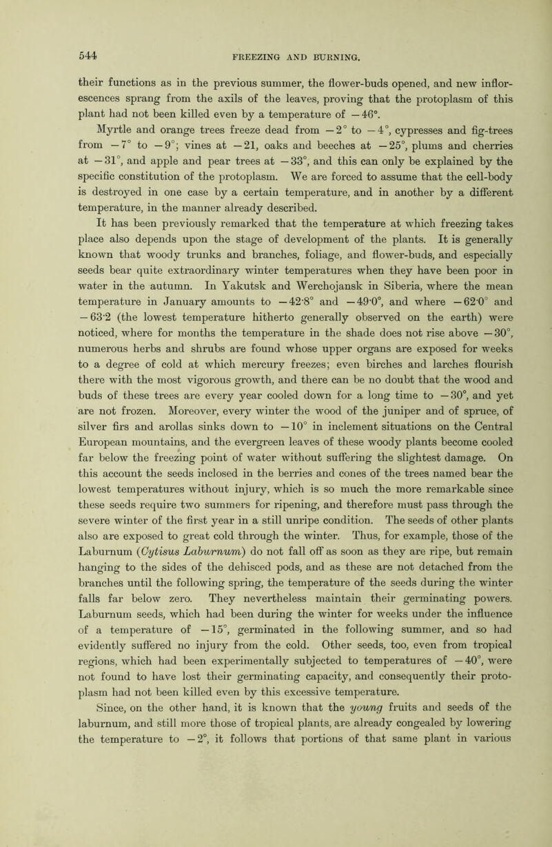 their functions as in the previous summer, the flower-buds opened, and new inflor- escences sprang from the axils of the leaves, proving that the pi’otoplasm of this plant had not been killed even by a temperature of —46°. Myi'tle and orange trees freeze dead fi'om —2° to —4°, cypi'esses and fig-trees from — 7° to —9°; vines at —21, oaks and beeches at —25°, plums and chei’ries at —31°, and apple and pear trees at —33°, and this can only be explained by the specific constitution of the protoplasm. We are forced to assume that the cell-body is desti’oyed in one case by a certain tempei'ature, and in another by a different temperature, in the manner already described. It has been previously x'emarked that the temperature at which fi'eezing takes place also depends upon the stage of development of the plants. It is generally known that woody ti'unks and branches, foliage, and flower-buds, and especially seeds bear quite extraordinaxy winter temperatures when they have been poor in water in the autumn. In Yakutsk and Werchojansk in Siberia, where the mean temperature in January amounts to — 42’8° and — 49’0°, and where — 62’0° and — 63-2 (the lowest temperature hitherto generally observed on the earth) were noticed, where for months the tempei’ature in the shade does not rise above — 30°, numei’ous herbs and shrubs are found whose upper organs are exposed for weeks to a degree of cold at which mercury freezes; even birches and larches flourish there with the most vigoi’ous growth, and there can be no doubt that the wood and buds of these trees ax-e every year cooled down for a long time to —30°, and yet are not frozen. Moreover, every winter the wood of the juniper and of spruce, of silver firs and arollas sinks down to —10° in inclement situations on the Central European mountains, and the evergi’een leaves of these woody plants become cooled far below the freezing point of water without suffering the slightest damage. On this account the seeds inclosed in the bei-ries and cones of the ti’ees named bear the lowest temperatures without injury, which is so much the moi’e remarkable since these seeds require two summers for l’ipening, and therefore must pass through the severe winter of the first year in a still unripe condition. The seeds of other plants also are exposed to great cold through the winter. Thus, for example, those of the Laburnum (Cytisus Laburnum) do not fall off as soon as they are ripe, but remain hanging to the sides of the dehisced pods, and as these are not detached from the branches until the following spring, the temperature of the seeds during the winter falls far below zei’O. They nevertheless maintain their germinating powers. Laburnum seeds, which had been dui’ing the winter for weeks under the influence of a temperature of —15°, germinated in the following summer, and so had evidently suffei'ed no injury from the cold. Other seeds, too, even fi'om tropical regions, which had been expei’imentally subjected to temperatures of —40°, were not found to have lost their germinating capacity, and consequently their proto- plasm had not been killed even by this excessive tempei'ature. Since, on the other hand, it is known that the young fi’uits and seeds of the laburnum, and still more those of ti’opical plants, are ali’eady congealed by lowering the temperature to —2°, it follows that portions of that same plant in various
