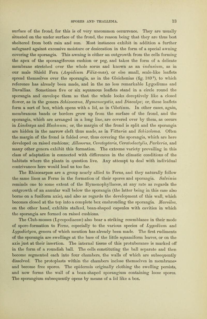 surface of the frond, for this is of very uncommon occurrence. They are usually situated on the under surface of the frond, the reason being that they are thus best sheltered from both rain and sun. Most instances exhibit in addition a further safeguard against excessive moisture or desiccation in the form of a special awning covering the sporangia. This awning is either an outgrowth from the cells forming the apex of the sporangiferous cushion or peg, and takes the form of a delicate membrane stretched over the whole sorus and known as an indusiumn, as in our male Shield Fern (Aspidium Filix-mas), or else small, scale-like leaflets spread themselves over the sporangia, as in the Gleichenias (fig. 1899), to which reference has already been made, and in the no less remarkable Lygodiums and Davallias. Sometimes five or six squamous leaflets stand in a circle round the sporangia and envelope them so that the whole looks deceptively like a closed flower, as in the genera Scliizoccena, Hymenocystis, and Diacalpe; or, these leaflets form a sort of box, which opens with a lid, as in Cibotium. In other cases, again, membranous bands or borders grow up from the surface of the frond, and the sporangia, which are arranged in a long line, are covered over by them, as occurs in Lindsay a and Blechnum; or, the margin of the frond is split and the sporangia are hidden in the narrow cleft thus made, as in Vittaria and Schizoloma. Often the margin of the frond is folded over, thus covering the sporangia, which are here developed on raised cushions; Allosorus, Ceratopteris, Ceratodactylis, Parlceria, and many other genera exhibit this formation. The extreme variety prevailing in this class of adaptation is connected with differences in the climatic conditions of the habitats where the plants in question live. Any attempt to deal with individual contrivances here would lead us too far. The Rhizocarpese are a group nearly allied to Ferns, and they naturally follow the same lines as Ferns in the formation of their spores and sporangia. Salvinia reminds one to some extent of the Hymenophyllacese, at any rate as regards the outgrowth of an annular wall below the sporangia (the latter being in this case also borne on a fusiform axis), and also as regards the development of this wall, which becomes closed at the top into a complete box enshrouding the sporangia. Marsilea, on the other hand, exhibits stalked, bean-shaped capsules with cavities in which the sporangia are formed on raised cushions. The Club-mosses (Lycopodiacese) also bear a striking resemblance in their mode of spore-formation to Ferns, especially to the various species of Lygodium and Lygodictyon, genera of which mention has already been made. The first rudiments of the sporangia are swellings at the base of the little squamiform leaves, or on the axis just at their insertion. The internal tissue of this protuberance is marked off in the form of a roundish ball. The cells constituting the ball separate and then become segmented each into four chambers, the walls of which are subsequently dissolved. The protoplasts within the chambers inclose themselves in membranes and become free spores. The epidermis originally clothing the swelling persists, and now forms the wall of a bean-shaped sporangium containing loose spores. The sporangium subsequently opens by means of a lid like a box.