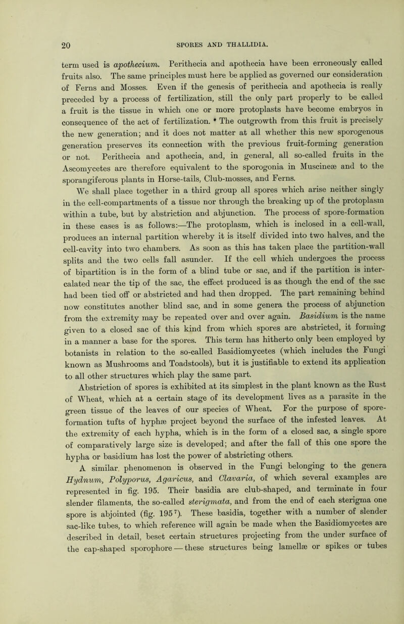 term used is apothecium. Perithecia and apothecia have been erroneously called fruits also. The same principles must here be applied as governed our consideration of Ferns and Mosses. Even if the genesis of perithecia and apothecia is really preceded by a process of fertilization, still the only part properly to be called a fruit is the tissue in which one or more protoplasts have become embryos in consequence of the act of fertilization. * The outgrowth from this fruit is precisely the new generation; and it does not matter at all whether this new sporogenous generation preserves its connection with the previous fruit-forming generation or not. Perithecia and apothecia, and, in general, all so-called fruits in the Ascomycetes are therefore equivalent to the sporogonia in Muscineae and to the sporangiferous plants in Horse-tails, Club-mosses, and Ferns. We shall place together in a third group all spores which arise neither singly in the cell-compartments of a tissue nor through the breaking up of the protoplasm within a tube, but by abstriction and abjunction. The process of spore-formation in these cases is as follows:—The protoplasm, which is inclosed in a cell-wall, produces an internal partition whereby it is itself divided into two halves, and the cell-cavity into two chambers. As soon as this has taken place the partition-wall splits and the two cells fall asunder. If the cell which undergoes the process of bipartition is in the form of a blind tube or sac, and if the partition is inter- calated near the tip of the sac, the effect produced is as though the end of the sac had been tied off or abstricted and had then dropped. The part remaining behind now constitutes another blind sac, and in some genera the process of abjunction from the extremity may be repeated over and over again. Btxsidiuvi is the name given to a closed sac of this kind from which spores are abstricted, it forming in a manner a base for the spores. This term has hitherto only been employed by botanists in relation to the so-called Basidiomycetes (which includes the Fungi known as Mushrooms and Toadstools), but it is justifiable to extend its application to all other structures which play the same part. Abstriction of spores is exhibited at its simplest in the plant known as the Rust of Wheat, which at a certain stage of its development lives as a parasite in the green tissue of the leaves of our species of Wheat. For the purpose of spore- formation tufts of hyphse project beyond the surface of the infested leaves. At the extremity of each hypha, which is in the form of a closed sac, a single spoie of comparatively large size is developed; and after the fall of this one spore the hypha or basidium has lost the power of abstricting others. A similar phenomenon is observed in the Fungi belonging to the genera Hydnum, Polyporus, Agaricus, and Clavaria, of which several examples are represented in fig. 195. Their basidia are club-shaped, and terminate in four slender filaments, the so-called sterigmata, and from the end of each sterigma one spore is abjointed (fig. 1957). These basidia, together with a number of slender sac-like tubes, to which reference will again be made when the Basidiomycetes are described in detail, beset certain structures projecting from the under surface of the cap-shaped sporophore — these structures being lamellae or spikes or tubes