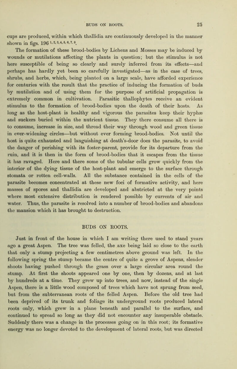 cups are produced, within which thallidia are continuously developed in the manner shown in tigs. 196 x» 2>3> 4> 6- 6>7’8. The formation of these brood-bodies by Lichens and Mosses may be induced by wounds or mutilations affecting the plants in question; but the stimulus is not here susceptible of being so clearly and surely inferred from its effects—and perhaps has hardly yet been so carefully investigated—as in the case of trees, shrubs, and herbs, which, being planted on a large scale, have afforded experience for centuries with the result that the practice of inducing the formation of buds by mutilation and of using them for the purpose of artificial propagation is extremely common in cultivation. Parasitic thallophytes receive an evident stimulus to the formation of brood-bodies upon the death of their hosts. As long as the host-plant is healthy and vigorous the parasites keep their hyphae and suckers buried within the nutrient tissue. They there consume all there is to consume, increase in size, and thread their way through wood and green tissue in ever-widening circles—but without ever forming brood-bodies. Not until the host is quite exhausted and languishing at death’s-door does the parasite, to avoid the danger of perishing with its foster-parent, provide for its departure from the ruin, and it is then in the form of brood-bodies that it escapes from the tissue it has ravaged. Here and there some of the tubular cells grow quickly from the interior of the dying tissue of the host-plant and emerge to the surface through stomata or rotten cell-walls. All the substance contained in the cells of the parasite becomes concentrated at these new foci of formative activity, and here masses of spores and thallidia are developed and abstricted at the very points where most extensive distribution is rendered possible by currents of air and water. Thus, the parasite is resolved into a number of brood-bodies and abandons the mansion which it has brought to destruction. BUDS ON ROOTS. Just in front of the house in which I am writing there used to stand years ago a great Aspen. The tree was felled, the axe being laid so close to the earth that only a stump projecting a few centimetres above ground was left. In the following spring the stump became the centre of quite a grove of Aspens, slender shoots having pushed through the grass over a large circular area round the stump. At first the shoots appeared one by one, then by dozens, and at last by hundreds at a time. They grew up into trees, and now, instead of the single Aspen, there is a little wood composed of trees which have not sprung from seed, but from the subterranean roots of the felled Aspen. Before the old tree had been deprived of its trunk and foliage its underground roots produced lateral roots only, which grew in a plane beneath and parallel to the surface, and continued to spread so long as they did not encounter any insuperable obstacle. Suddenly there was a change in the processes going on in this root; its formative energy was no longer devoted to the development of lateral roots, but was directed