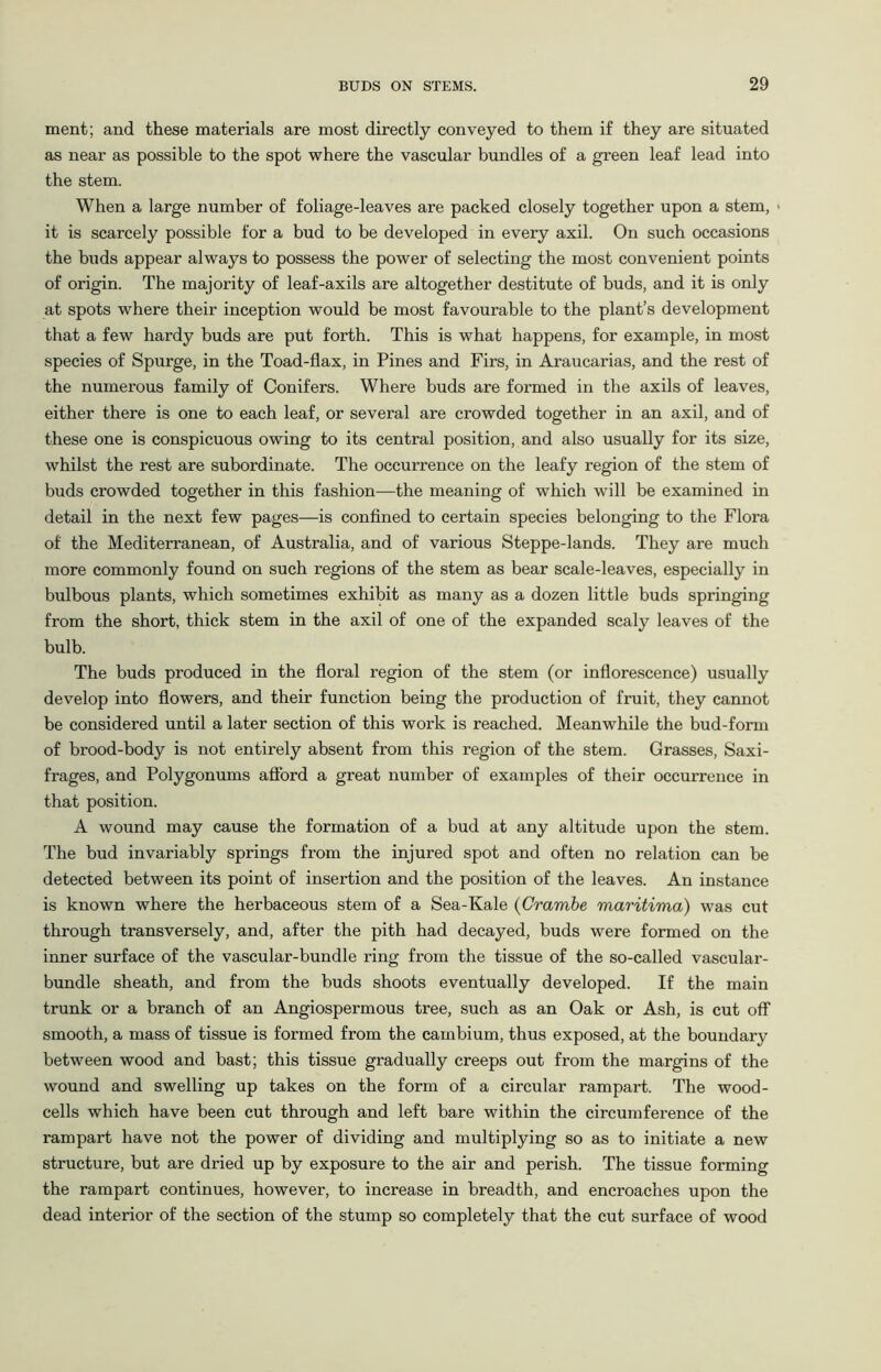 ment; and these materials are most directly conveyed to them if they are situated as near as possible to the spot where the vascular bundles of a green leaf lead into the stem. When a large number of foliage-leaves are packed closely together upon a stem, • it is scarcely possible for a bud to be developed in every axil. On such occasions the buds appear always to possess the power of selecting the most convenient points of origin. The majority of leaf-axils are altogether destitute of buds, and it is only at spots where their inception would be most favourable to the plant’s development that a few hardy buds are put forth. This is what happens, for example, in most species of Spurge, in the Toad-flax, in Pines and Firs, in Araucarias, and the rest of the numerous family of Conifers. Where buds are formed in the axils of leaves, either there is one to each leaf, or several are crowded together in an axil, and of these one is conspicuous owing to its central position, and also usually for its size, whilst the rest are subordinate. The occurrence on the leafy region of the stem of buds crowded together in this fashion—the meaning of which will be examined in detail in the next few pages—is confined to certain species belonging to the Flora of the Mediterranean, of Australia, and of various Steppe-lands. They are much more commonly found on such regions of the stem as bear scale-leaves, especially in bulbous plants, which sometimes exhibit as many as a dozen little buds springing from the short, thick stem in the axil of one of the expanded scaly leaves of the bulb. The buds produced in the floral region of the stem (or inflorescence) usually develop into flowers, and their function being the production of fruit, they cannot be considered until a later section of this work is reached. Meanwhile the bud-form of brood-body is not entirely absent from this region of the stem. Grasses, Saxi- frages, and Polygonums afford a great number of examples of their occurrence in that position. A wound may cause the formation of a bud at any altitude upon the stem. The bud invariably springs from the injured spot and often no relation can be detected between its point of insertion and the position of the leaves. An instance is known where the herbaceous stem of a Sea-Kale (Crarnbe maritima) was cut through transversely, and, after the pith had decayed, buds were formed on the inner surface of the vascular-bundle ring from the tissue of the so-called vascular- bundle sheath, and from the buds shoots eventually developed. If the main trunk or a branch of an Angiospermous tree, such as an Oak or Ash, is cut off smooth, a mass of tissue is formed from the cambium, thus exposed, at the boundary between wood and bast; this tissue gradually creeps out from the margins of the wound and swelling up takes on the form of a circular rampart. The wood- cells which have been cut through and left bare within the circumference of the rampart have not the power of dividing and multiplying so as to initiate a new structure, but are dried up by exposure to the air and perish. The tissue forming the rampart continues, however, to increase in breadth, and encroaches upon the dead interior of the section of the stump so completely that the cut surface of wood
