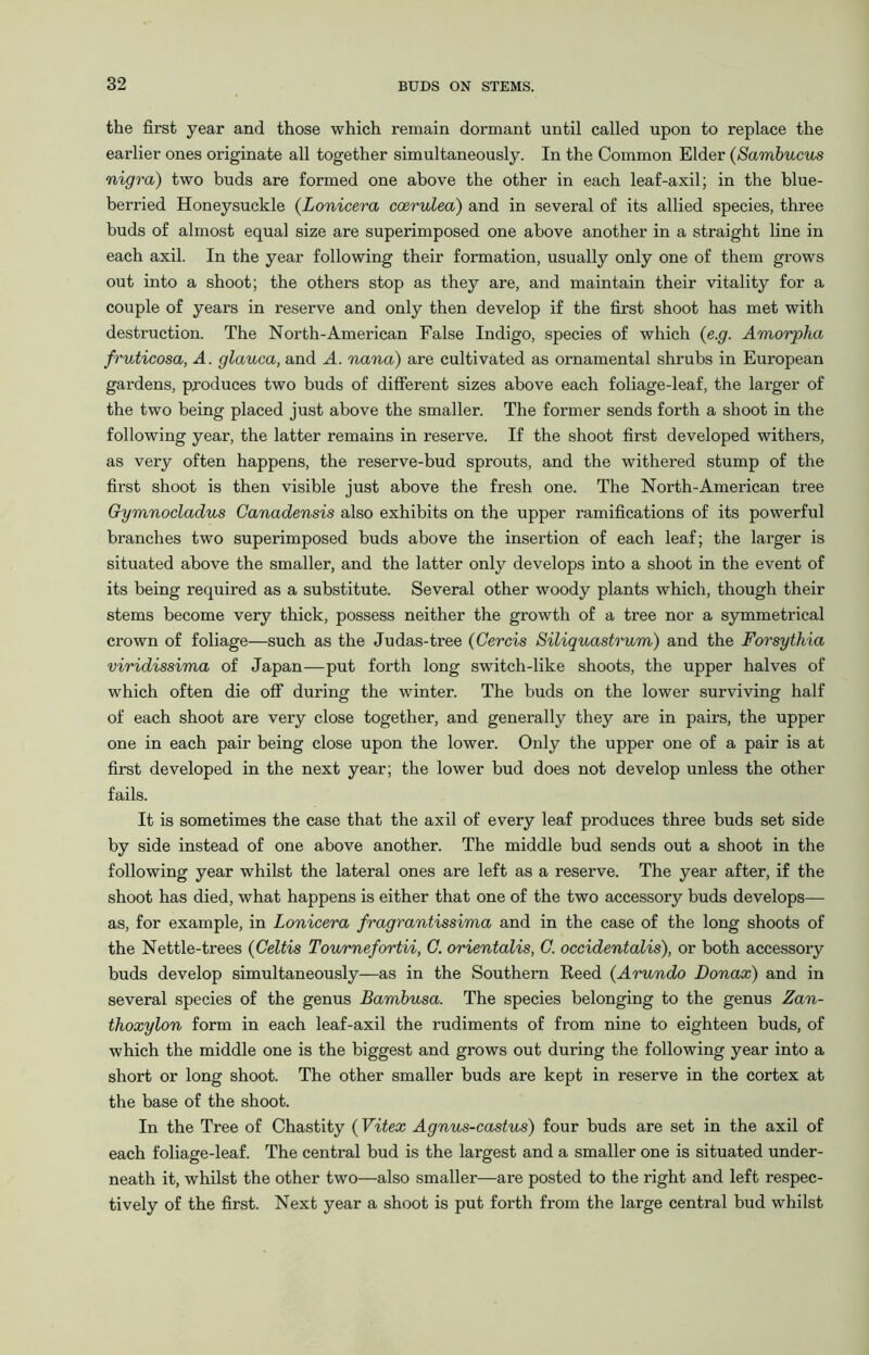 the first year and those which remain dormant until called upon to replace the earlier ones originate all together simultaneously. In the Common Elder (Sambucus nigra) two buds are formed one above the other in each leaf-axil; in the blue- berried Honeysuckle (Lonicera ccerulea) and in several of its allied species, three buds of almost equal size are superimposed one above another in a straight line in each axil. In the year following their formation, usually only one of them grows out into a shoot; the others stop as they are, and maintain their vitality for a couple of years in reserve and only then develop if the first shoot has met with destruction. The North-American False Indigo, species of which (e.g. Amorpha fruticosa, A. glauca, and A. nana) are cultivated as ornamental shrubs in European gardens, produces two buds of different sizes above each foliage-leaf, the larger of the two being placed just above the smaller. The former sends forth a shoot in the following year, the latter remains in reserve. If the shoot first developed withers, as very often happens, the reserve-bud sprouts, and the withered stump of the first shoot is then visible just above the fresh one. The North-American tree Gymnocladus Canadensis also exhibits on the upper ramifications of its powerful branches two superimposed buds above the insertion of each leaf; the larger is situated above the smaller, and the latter only develops into a shoot in the event of its being required as a substitute. Several other woody plants which, though their stems become very thick, possess neither the growth of a tree nor a symmetrical crown of foliage—such as the Judas-tree (Cercis Siliquastrum) and the Forsythia viridissima of Japan—put forth long switch-like shoots, the upper halves of which often die off during the winter. The buds on the lower surviving half of each shoot are very close together, and generally they are in pairs, the upper one in each pair being close upon the lower. Only the upper one of a pair is at first developed in the next year; the lower bud does not develop unless the other fails. It is sometimes the case that the axil of every leaf produces three buds set side by side instead of one above another. The middle bud sends out a shoot in the following year whilst the lateral ones are left as a reserve. The year after, if the shoot has died, what happens is either that one of the two accessory buds develops— as, for example, in Lonicera fragrantissima and in the case of the long shoots of the Nettle-trees (Celtis Tournefortii, C. orientalis, C. occidentalis), or both accessory buds develop simultaneously—as in the Southern Reed (Arundo Donax) and in several species of the genus Bambusa. The species belonging to the genus Zan- thoxylon form in each leaf-axil the rudiments of from nine to eighteen buds, of which the middle one is the biggest and grows out during the following year into a short or long shoot. The other smaller buds are kept in reserve in the cortex at the base of the shoot. In the Tree of Chastity ( Vitex Agnus-castus) four buds are set in the axil of each foliage-leaf. The central bud is the largest and a smaller one is situated under- neath it, whilst the other two—also smaller—are posted to the right and left respec- tively of the first. Next year a shoot is put forth from the large central bud whilst