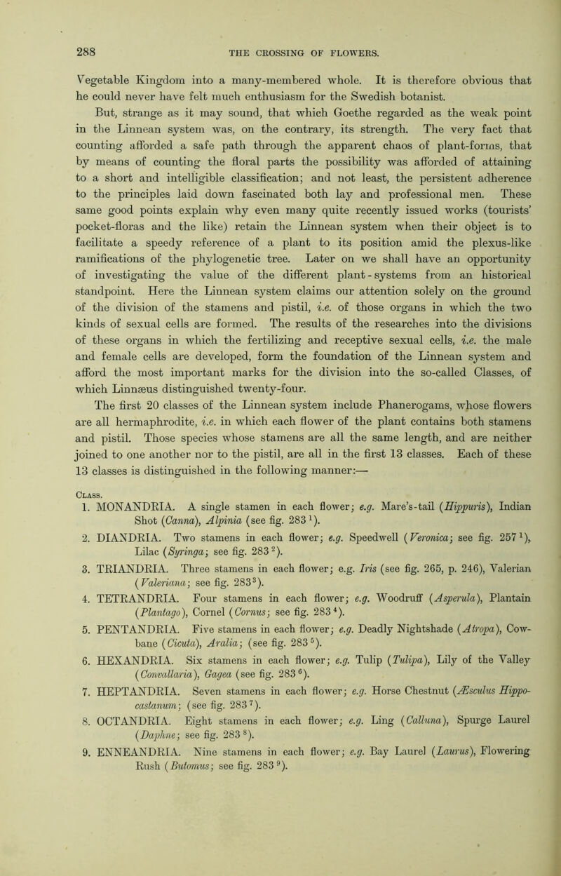 Vegetable Kingdom into a many-membered whole. It is therefore obvious that he could never have felt much enthusiasm for the Swedish botanist. But, strange as it may sound, that which Goethe regarded as the weak point in the Linnean system was, on the contrary, its strength. The very fact that counting afforded a safe path through the apparent chaos of plant-forms, that by means of counting the floral parts the possibility was afforded of attaining to a short and intelligible classification; and not least, the persistent adherence to the principles laid down fascinated both lay and professional men. These same good points explain why even many quite recently issued works (tourists’ pocket-floras and the like) retain the Linnean system when their object is to facilitate a speedy reference of a plant to its position amid the plexus-like ramifications of the phylogenetic tree. Later on we shall have an opportunity of investigating the value of the different plant - systems from an historical standpoint. Here the Linnean system claims our attention solely on the ground of the division of the stamens and pistil, i.e. of those organs in which the two kinds of sexual cells are formed. The results of the researches into the divisions of these organs in which the fertilizing and receptive sexual cells, i.e. the male and female cells are developed, form the foundation of the Linnean system and afford the most important marks for the division into the so-called Classes, of which Linnaeus distinguished twenty-four. The first 20 classes of the Linnean system include Phanerogams, whose flowers are all hermaphrodite, i.e. in which each flower of the plant contains both stamens and pistil. Those species whose stamens are all the same length, and are neither joined to one another nor to the pistil, are all in the first 13 classes. Each of these 13 classes is distinguished in the following manner:— Class. 1. MONANDRIA. A single stamen in each flower; e.g. Mare’s-tail (Eippuris), Indian Shot (Ganna), Alpinia (see fig. 2831). 2. DIANDRIA. Two stamens in each flower; e.g. Speedwell (Veronica-, see fig. 257 4)r Lilac (Syringa; see fig. 2832). 3. TRIANDRIA. Three stamens in each flower; e.g. Iris (see fig. 265, p. 246), Valerian (Valeriana-, see fig. 2833). 4. TETRANDRIA. Four stamens in each flower; e.g. Woodruff (Asperula), Plantain (Plantago), Cornel (Cornus; see fig. 2834). 5. PENTANDRIA. Five stamens in each flower; e.g. Deadly Nightshade (Atropa), Cow- bane (Cicuta), Aralia-, (see fig. 283 5). 6. HEXANDRIA. Six stamens in each flower; e.g. Tulip (Tulipa), Lily of the Valley (Convallaria), Gagea (see fig. 2836). 7. HEPTANDRIA. Seven stamens in each flower; e.g. Horse Chestnut (JEsculus Hippo- castanum; (see fig. 2837). 8. OCTANDRIA. Eight stamens in each flower; e.g. Ling (Calluna), Spurge Laurel (Daphne-, see fig. 283 s). 9. ENNEANDRIA. Nine stamens in each flower; e.g. Bay Laurel (Laurus), Flowering Rush (Butomus; see fig. 283 9).