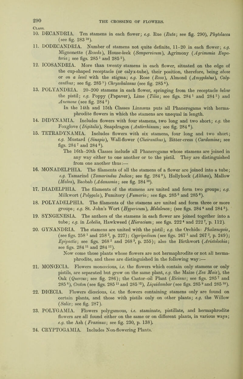 Class. 10. DECANDRIA. Ten stamens in each flower; e.g. Rue (Ruta; see fig. 290), Phytolacca (see fig. 283 10). 11. DODECANDRIA. Number of stamens not quite definite, 11-20 in each flower; e.g. Mignonette {Reseda), House-leek (Sempervivum), Agrimony (Agrimonia Eupa- toria; see figs. 285 1 and 285 2). 12. ICOSANDRIA. More than twenty stamens in each flower, situated on the edge of the cup-shaped receptacle (or calyx-tube), their position, therefore, being above or on a level with the stigma; e.g. Rose (Rosa), Almond (Amygdalus), Caly- canthus; see fig. 2853) Chrysobalanus (see fig. 2854). 13. POLYANDRIA. 20-200 stamens in each flower, springing from the receptacle below the pistil; e.g. Poppy (Papaver), Lime (Tilia; see figs. 2841 and 2842) and Anemone (see fig. 2843) In the 14th and 15th Classes Linnaeus puts all Phanerogams with herma- phrodite flowers in which the stamens are unequal in length. 14. DIDYNAMIA. Includes flowers with four stamens, two long and two short; e.g. the Foxglove (Digitalis), Snapdragon (Antirrhinum; see fig. 284®). 15. TETRADYNAMIA. Includes flowers with six stamens, four long and two short; e.g. Mustard (Sinapis), Wall-flower (Cheiranthus), Bitter-cress (Cardamine; see figs. 284 7 and 284 8). The 16th-20th Classes include all Phanerogams whose stamens are joined in any way either to one another or to the pistil. They are distinguished from one another thus:— 16. MONADELPHIA. The filaments of all the stamens of a flower are joined into a tube; e.g. Tamarind (Tamarindus Indicaj see fig. 284 9), Hollyhock {Althaea), Mallow {Malva), Baobab {Adansonia-, see fig. 28410). 17. DIADELPHIA. The filaments of the stamens are united and form two groups; e.g. Milkwort {Polygala), Fumitory (Fumaria; see figs. 2855 and 285 6). 18. POLYADELPHIA. The filaments of the stamens are united and form three or more groups; e.g. St. John’s Wort {Hypericum), Melaleuca; (see figs. 2844 and 2845). 19. SYNGENESIA. The anthers of the stamens in each flower are joined together into a tube; e.g. in Lobelia, Hawkweed (Hieracium; see figs. 222 4 and 222 7, p. 112). 20. GYNANDRIA. The stamens are united with the pistil; e.g. the Orchids: Phalcenopsis, (see figs. 258 1 and 258 2, p. 227); Cypripedium (see figs. 267 1 and 267 2, p. 249); Epipactis; see figs. 2682 and 2683, p. 255); also the Birthwort {Arisiolochia; see figs. 284 11 and 28412). Now come those plants whose flowers are not hermaphrodite or not all Herma- phrodite, and these are distinguished in the following way:— 21. MONCECIA. Flowers monoecious, i.e. the flowers which contain only stamens or only pistils, are separated but grow on the same plant, e.g. the Maize {Zea Mais), the Oak {Quercus; see fig. 286); the Castor-oil Plant {Ricinus; see figs. 2857 and 285 8), Croton (see figs. 285 11 and 285 12), IAquidambar (see figs. 285 9 and 285 10). 22. DICECIA. Flowers dioecious, i.e. the flowers containing stamens only are found on certain plants, and those with pistils only on other plants; e.g. the Willow (Salix; see fig. 287). 23. POLYGAMIA. Flowers polygamous, i.e. staminate, pistillate, and hermaphrodite flowers are all found either on the same or on different plants, in various ways; e.g. the Ash {Fraxinus; see fig. 230, p. 138). 24. CRYPTOGAMIA. Includes Non-flowering Plants.