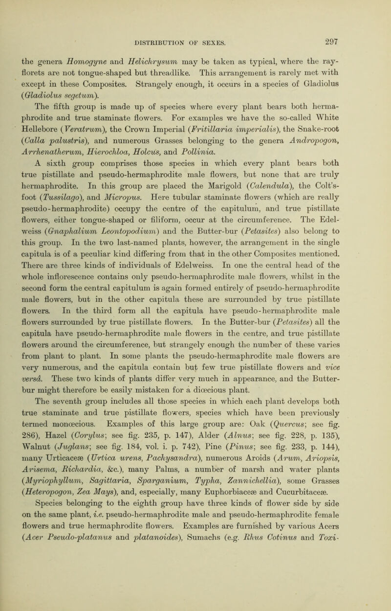 the genera Homogyne and Helichrysum may be taken as typical, where the ray- florets are not tongue-shaped but threadlike. This arrangement is rarely met with except in these Composites. Strangely enough, it occurs in a species of Gladiolus (Gladiolus segetum). The fifth group is made up of species where every plant bears both herma- phrodite and true staminate flowers. For examples we have the so-called White Hellebore (Veratrum), the Crown Imperial (Fritillaria imperialis), the Snake-root (Calla palustris), and numerous Grasses belonging to the genera Andropogon, Arrhenatherum, Hierochloa, Holcus, and Pollinia. A sixth group comprises those species in which every plant bears both true pistillate and pseudo-hermaphrodite male flowers, but none that are truly hermaphrodite. In this group are placed the Marigold (Calendula), the Colts- foot (Tussilago), and Micropus. Here tubular staminate flowers (which are really pseudo - hermaphrodite) occupy the centre of the capitulum, and true pistillate flowers, either tongue-shaped or filiform, occur at the circumference. The Edel- weiss (Gnaplialium Leontopodium) and the Butter-bur (Petasites) also belong to this group. In the two last-named plants, however, the arrangement in the single capitula is of a peculiar kind differing from that in the other Composites mentioned. There are three kinds of individuals of Edelweiss. In one the central head of the whole inflorescence contains only pseudo-hermaphrodite male flowers, whilst in the second form the central capitulum is again formed entirely of pseudo-hermaphrodite male flowers, but in the other capitula these are surrounded by true pistillate flowers. In the third form all the capitula have pseudo-hermaphrodite male flowers surrounded by true pistillate flowers. In the Butter-bur (Petasites) all the capitula have pseudo-hermaphrodite male flowers in the centre, and true pistillate flowers around the circumference, but strangely enough the number of these varies Horn plant to plant. In some plants the pseudo-hermaphrodite male flowers are very numerous, and the capitula contain but few true pistillate flowers and vice versa. These two kinds of plants differ very much in appearance, and the Butter- bur might therefore be easily mistaken for a dioecious plant. The seventh group includes all those species in which each plant develops both true staminate and true pistillate flowers, species which have been previously termed monoecious. Examples of this large group are: Oak (Quercus; see fig. 286), Hazel (Corylus; see fig. 235, p. 147), Alder (Alnus; see fig. 228, p. 135), Walnut (Juglans; see fig. 184, vol. i. p. 742), Pine (Pinus; see fig. 233, p. 144), many Urticacese (Urtica urens, Pachysandra), numerous Aroids (Arum, Ariopsis, Arisema, Ricliardia, &c.), many Palms, a number of marsh and water plants (Myriophyllum, Sagittaria, Sparganium, Typha, Zannichellia), some Grasses (Heteropogon, Zea Mays), and, especially, many Euphorbiacese and Cucurbitacese. Species belonging to the eighth group have three kinds of flower side by side on the same plant, i.e. pseudo-hermaphrodite male and pseudo-hermaphrodite female flowers and true hermaphrodite flowers. Examples are furnished by various Acers (Acer Pseudo-platanus and platanoides), Sumachs (e.g. Rhus Gotinus and Toxi-