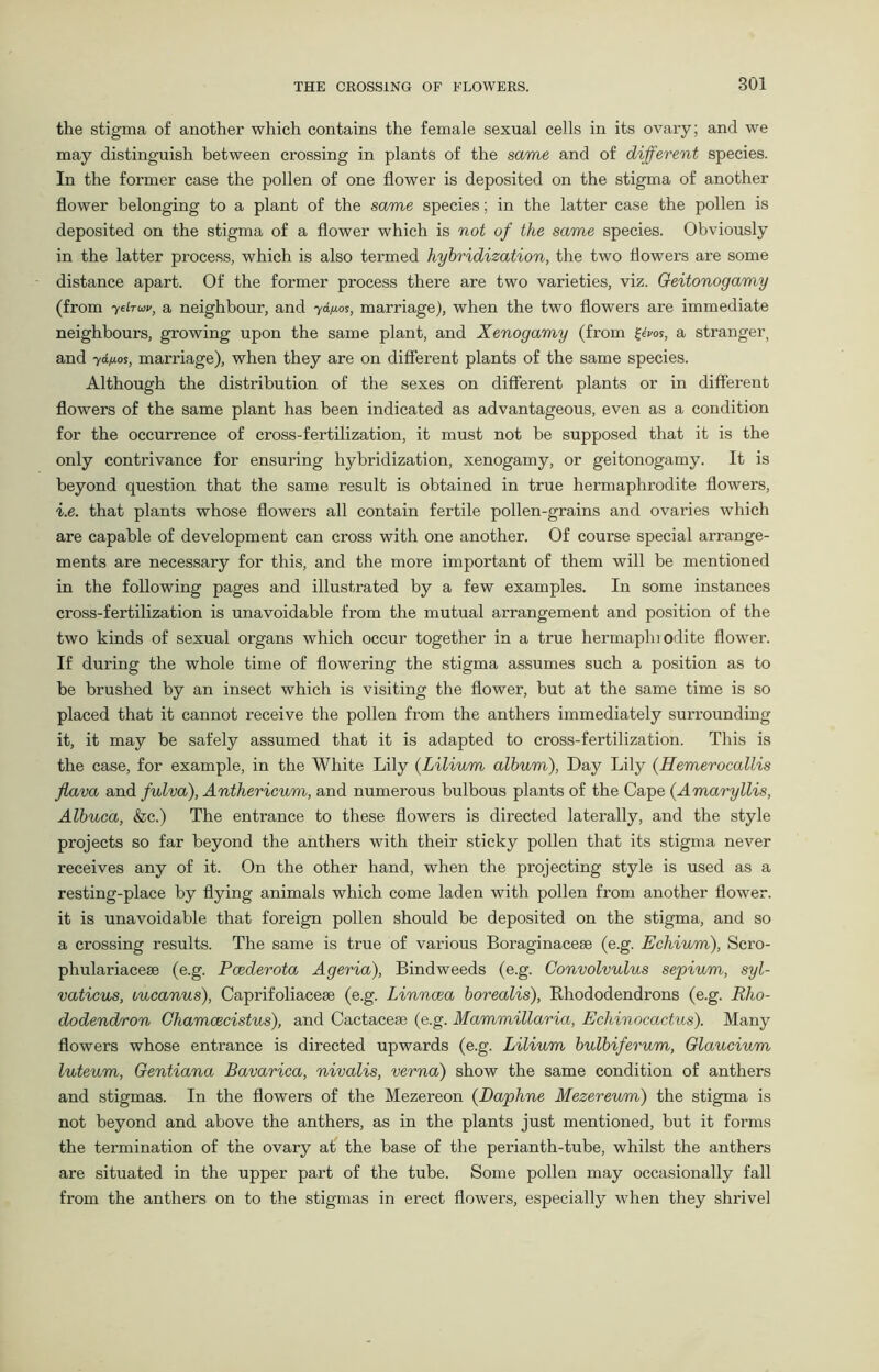 the stigma of another which contains the female sexual cells in its ovary; and we may distinguish between crossing in plants of the same and of different species. In the former case the pollen of one flower is deposited on the stigma of another flower belonging to a plant of the same species; in the latter case the pollen is deposited on the stigma of a flower which is not of the same species. Obviously in the latter process, which is also termed hybridization, the two flowers are some distance apart. Of the former process there are two varieties, viz. Geitonogamy (from 7elruv, a neighbour, and yd.fj.os, marriage), when the two flowers are immediate neighbours, growing upon the same plant, and Xenogamy (from i^os, a stranger, and ydfios, marriage), when they are on different plants of the same species. Although the distribution of the sexes on different plants or in different flowers of the same plant has been indicated as advantageous, even as a condition for the occurrence of cross-fertilization, it must not be supposed that it is the only contrivance for ensuring hybridization, xenogamy, or geitonogamy. It is beyond question that the same result is obtained in true hermaphrodite flowers, i.e. that plants whose flowers all contain fertile pollen-grains and ovaries which are capable of development can cross with one another. Of course special arrange- ments are necessary for this, and the more important of them will be mentioned in the following pages and illustrated by a few examples. In some instances cross-fertilization is unavoidable from the mutual arrangement and position of the two kinds of sexual organs which occur together in a true hermaphi odite flower. If during the whole time of flowering the stigma assumes such a position as to be brushed by an insect which is visiting the flower, but at the same time is so placed that it cannot receive the pollen from the anthers immediately surrounding it, it may be safely assumed that it is adapted to cross-fertilization. This is the case, for example, in the White Lily (Lilium album), Day Lily (Hemerocallis jlava and fulva), Anthericum, and numerous bulbous plants of the Cape (Amaryllis, Albuca, &c.) The entrance to these flowers is directed laterally, and the style projects so far beyond the anthers with their sticky pollen that its stigma never receives any of it. On the other hand, when the projecting style is used as a resting-place by flying animals which come laden with pollen from another flower, it is unavoidable that foreign pollen should be deposited on the stigma, and so a crossing results. The same is true of various Boraginacese (e.g. Echium), Scro- phulariaceae (e.g. Pcederota Ageria), Bindweeds (e.g. Convolvulus sepium, syl- vaticus, uucanus), Caprifoliacese (e.g. Linncea borealis), Rhododendrons (e.g. Rho- dodendron Chamcecistus), and Cactacese (e.g. Mammillaria, Echinocactus). Many flowers whose entrance is directed upwards (e.g. Lilium bulbiferum, Glaucium luteum, Gentiana Bavarica, nivalis, verna) show the same condition of anthers and stigmas. In the flowers of the Mezereon (Daphne Mezereum) the stigma is not beyond and above the anthers, as in the plants just mentioned, but it forms the termination of the ovary at the base of the perianth-tube, whilst the anthers are situated in the upper part of the tube. Some pollen may occasionally fall from the anthers on to the stigmas in erect flowers, especially when they shrivel