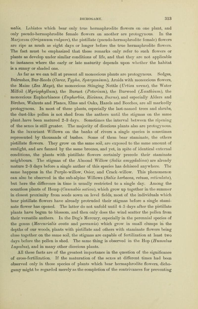 nalis. Labiates which bear only true hermaphrodite flowers on one plant, and only pseudo-hermaphrodite female flowers on another are protogynous. In the Marjoram (Origanum vulgare), the pistillate (pseudo-hermaphrodite female) flowers are ripe as much as eight days or longer before the true hermaphrodite flowers. The fact must be emphasized that these remarks only refer to such flowers or plants as develop under similar conditions of life, and that they are not applicable to instances where the early or late maturity depends upon whether the habitat is a sunny or shaded one. As far as we can tell at present all monoecious plants are protogynous. Sedges, Bulrushes, Bur-Reeds (Carex, Typha, Sparganium), Aroids with monoecious flowers, the Maize (Zea Mays), the monoecious Stinging Nettle (Urtica urens), the Water Milfoil (Myriophyllum), the Burnet (Poterium), the Burweed (Xanthium), the monoecious Euphorbiaceee (Euphorbia, Ricinus, Buxus), and especially Alders and Birches, Walnuts and Planes, Elms and Oaks, Hazels and Beeches, are all markedly protogynous. In most of these plants, especially the last-named trees and shrubs, the dust-like pollen is not shed from the anthers until the stigmas on the same plant have been matured 2-3 days. Sometimes the interval between the ripening of the sexes is still greater. The majority of dioecious plants also are protogynous. In the luxuriant Willows on the banks of rivers a single species is sometimes represented by thousands of bushes. Some of them bear staminate, the others pistillate flowers. They grow on the same soil, are exposed to the same amount of sunlight, and are fanned by the same breezes, and yet, in spite of identical external conditions, the plants with pistillate flowers certainly precede their staminate neighbours. The stigmas of the Almond Willow (Salix amygdalina) are already mature 2-3 days before a single anther of this species has dehisced anywhere. The same happens in the Purple-willow, Osier, and Crack-willow. This phenomenon can also be observed in the sub-alpine Willows (Salix herbacea, retusa, reticulata), but here the difference in time is usually restricted to a single day. Among the countless plants of Hemp (Cannabis sativa), which grow up together in the summer in closest proximity from seeds sown on level fields, most of the individuals which bear pistillate flowers have already protruded their stigmas before a single stami- nate flower has opened. The latter do not unfold until 4-5 days after the pistillate plants have begun to blossom, and then only does the wind scatter the pollen from their versatile anthers. In the Dog’s Mercury, especially in the perennial species of the genus (Mercurialis ovata and perennis) which grow in small clumps in the depths of our woods, plants with pistillate and others with staminate flowers being close together on the same soil, the stigmas are capable of fei’tilization at least two days before the pollen is shed. The same thing is observed in the Hop (Humulus Lupidus), and in many other dioecious plants. All these facts are of the greatest importance in the question of the significance of cross-fertilization. If the maturation of the sexes at different times had been observed only in those species of plants which bear hermaphrodite flowers, dicho- gamy might be regarded merely as the completion of the contrivances for preventing