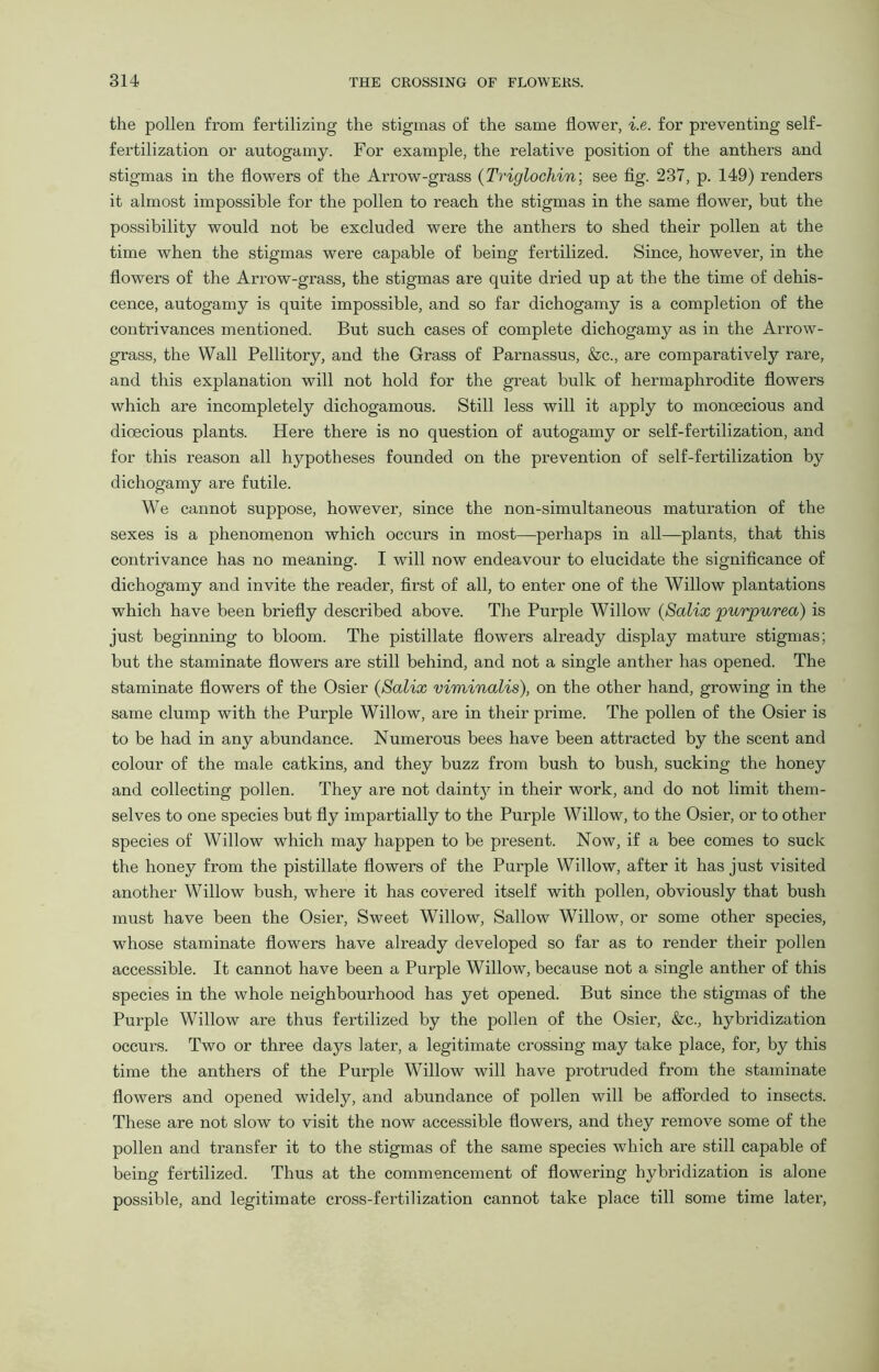 the pollen from fertilizing the stigmas of the same flower, i.e. for preventing self- fertilization or autogamy. For example, the relative position of the anthers and stigmas in the flowers of the Arrow-grass (Triglochin; see fig. 237, p. 149) renders it almost impossible for the pollen to reach the stigmas in the same flower, but the possibility would not be excluded were the anthers to shed their pollen at the time when the stigmas were capable of being fertilized. Since, however, in the flowers of the Arrow-grass, the stigmas are quite dried up at the the time of dehis- cence, autogamy is quite impossible, and so far dichogamy is a completion of the contrivances mentioned. But such cases of complete dichogamy as in the Arrow- grass, the Wall Pellitory, and the Grass of Parnassus, &c., are comparatively rare, and this explanation will not hold for the great bulk of hermaphrodite flowers which are incompletely dichogamous. Still less will it apply to monoecious and dioecious plants. Here there is no question of autogamy or self-fertilization, and for this reason all hypotheses founded on the prevention of self-fertilization by dichogamy are futile. We cannot suppose, however, since the non-simultaneous maturation of the sexes is a phenomenon which occurs in most—perhaps in all—plants, that this contrivance has no meaning. I will now endeavour to elucidate the significance of dichogamy and invite the reader, first of all, to enter one of the Willow plantations which have been briefly described above. The Purple Willow (Salicc purpurea) is just beginning to bloom. The pistillate flowers already display mature stigmas; but the staminate flowers are still behind, and not a single anther has opened. The staminate flowers of the Osier (Salix viminalis), on the other hand, growing in the same clump with the Purple Willow, are in their prime. The pollen of the Osier is to be had in any abundance. Numerous bees have been attracted by the scent and colour of the male catkins, and they buzz from bush to bush, sucking the honey and collecting pollen. They are not dainty in their work, and do not limit them- selves to one species but fly impartially to the Purple Willow, to the Osier, or to other species of Willow which may happen to be present. Now, if a bee comes to suck the honey from the pistillate flowers of the Purple Willow, after it has just visited another Willow bush, where it has covered itself with pollen, obviously that bush must have been the Osier, Sweet Willow, Sallow Willow, or some other species, whose staminate flowers have already developed so far as to render their pollen accessible. It cannot have been a Purple Willow, because not a single anther of this species in the whole neighbourhood has yet opened. But since the stigmas of the Purple Willow are thus fertilized by the pollen of the Osier, &c., hybridization occurs. Two or three days later, a legitimate crossing may take place, for, by this time the anthers of the Purple Willow will have protruded from the staminate flowers and opened widely, and abundance of pollen will be afforded to insects. These are not slow to visit the now accessible flowers, and they remove some of the pollen and transfer it to the stigmas of the same species which are still capable of being fertilized. Thus at the commencement of flowering hybridization is alone possible, and legitimate cross-fertilization cannot take place till some time later,
