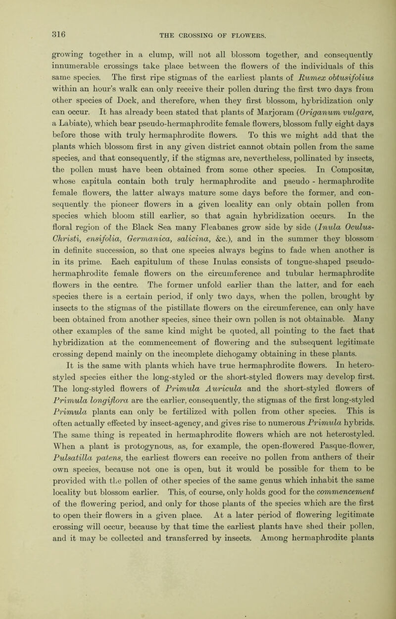 growing together in a clump, will not all blossom together, and consequently innumerable crossings take place between the flowers of the individuals of this same species. The first ripe stigmas of the earliest plants of Rumex obtusifolius within an hour’s walk can only receive their pollen during the first two days from other species of Dock, and therefore, when they first blossom, hybridization only can occur. It has already been stated that plants of Marjoram (Origanum vulgare, a Labiate), which bear pseudo-hermaphrodite female flowers, blossom fully eight days before those with truly hermaphrodite flowers. To this we might add that the plants which blossom first in any given district cannot obtain pollen from the same species, and that consequently, if the stigmas are, nevertheless, pollinated by insects, the pollen must have been obtained from some other species. In Compositse, whose capitula contain both truly hermaphrodite and pseudo - hermaphrodite female flowers, the latter always mature some days before the former, and con- sequently the pioneer flowers in a given locality can only obtain pollen from species which bloom still earlier, so that again hybridization occurs. In the floral region of the Black Sea many Fleabanes grow side by side (Inula Oculus- Ghristi, ensifolia, Germanica, salicina, &c.), and in the summer they blossom in definite succession, so that one species always begins to fade when another is in its prime. Each capitulum of these Inulas consists of tongue-shaped pseudo- hermaphrodite female flowers on the circumference and tubular hermaphrodite flowers in the centre. The former unfold earlier than the latter, and for each species there is a certain period, if only two days, when the pollen, brought by insects to the stigmas of the pistillate flowers on the circumference, can only have been obtained from another species, since their own pollen is not obtainable. Many other examples of the same kind might be quoted, all pointing to the fact that hybridization at the commencement of flowering and the subsequent legitimate crossing depend mainly on the incomplete dichogamy obtaining in these plants. It is the same with plants which have true hermaphrodite flowers. In hetero- styled species either the long-styled or the short-styled flowers may develop first. The long-styled flowers of Primula Auricula and the short-styled flowers of Primula longijlora are the earlier, consequently, the stigmas of the first long-styled Primula plants can only be fertilized with pollen from other species. This is often actually effected by insect-agency, and gives rise to numerous Primula hybrids. The same thing is repeated in hermaphrodite flowers which are not heterostyled. When a plant is protogynous, as, for example, the open-flowered Pasque-flower, Pulsatilla 'patens, the earliest flowers can receive no pollen from anthers of their own species, because not one is open, but it would be possible for them to be provided with the pollen of other species of the same genus which inhabit the same locality but blossom earlier. This, of course, only holds good for the commencement of the flowering period, and only for those plants of the species which are the first to open their flowers in a given place. At a later period of flowering legitimate crossing will occur, because by that time the earliest plants have shed their pollen, and it may be collected and transferred by insects. Among hermaphrodite plants