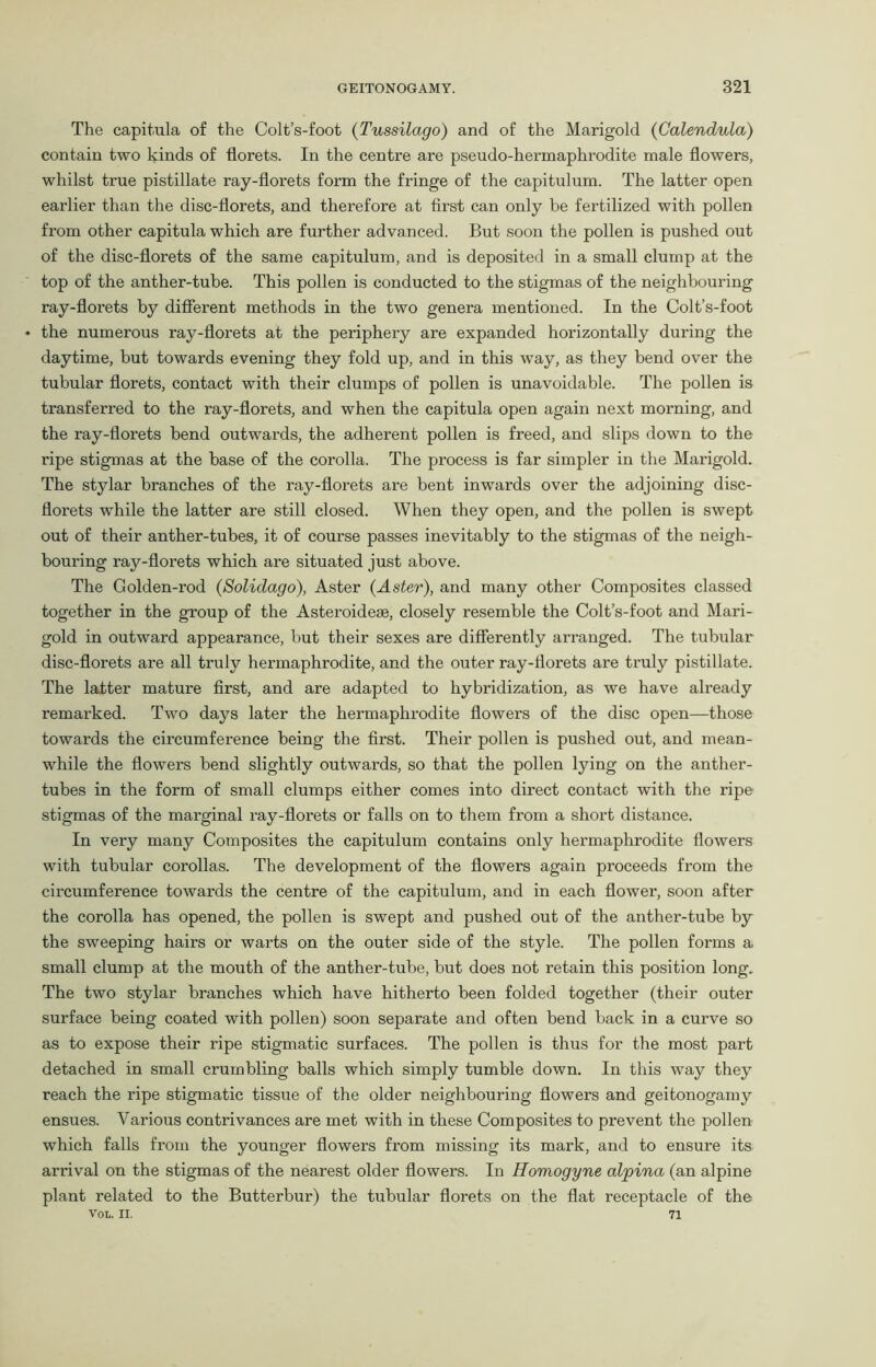 The capitula of the Colt’s-foot (Tussilago) and of the Marigold (Calendula) contain two kinds of florets. In the centre are pseudo-hermaphrodite male flowers, whilst true pistillate ray-florets form the fringe of the capitulum. The latter open earlier than the disc-florets, and therefore at first can only be fertilized with pollen from other capitula which are further advanced. But soon the pollen is pushed out of the disc-florets of the same capitulum, and is deposited in a small clump at the top of the anther-tube. This pollen is conducted to the stigmas of the neighbouring ray-florets by different methods in the two genera mentioned. In the Colt’s-foot the numerous ray-florets at the periphery are expanded horizontally during the daytime, but towards evening they fold up, and in this way, as they bend over the tubular florets, contact with their clumps of pollen is unavoidable. The pollen is transferred to the ray-florets, and when the capitula open again next morning, and the ray-florets bend outwards, the adherent pollen is freed, and slips down to the ripe stigmas at the base of the corolla. The process is far simpler in the Marigold. The stylar branches of the ray-florets are bent inwards over the adjoining disc- florets while the latter are still closed. When they open, and the pollen is swept out of their anther-tubes, it of course passes inevitably to the stigmas of the neigh- bouring ray-florets which are situated just above. The Golden-rod (Solidago), Aster (Aster), and many other Composites classed together in the group of the Asteroideae, closely resemble the Colt’s-foot and Mari- gold in outward appearance, but their sexes are differently arranged. The tubular disc-florets are all truly hermaphrodite, and the outer ray-florets are truly pistillate. The latter mature first, and are adapted to hybridization, as we have already remarked. Two days later the hermaphrodite flowers of the disc open—those towards the circumference being the first. Their pollen is pushed out, and mean- while the flowers bend slightly outwards, so that the pollen lying on the anther- tubes in the form of small clumps either comes into direct contact with the ripe stigmas of the marginal ray-florets or falls on to them from a short distance. In very many Composites the capitulum contains only hermaphrodite flowers with tubular corollas. The development of the flowers again proceeds from the circumference towards the centre of the capitulum, and in each flower, soon after the corolla has opened, the pollen is swept and pushed out of the anther-tube by the sweeping hairs or warts on the outer side of the style. The pollen forms a small clump at the mouth of the anther-tube, but does not retain this position long. The two stylar branches which have hitherto been folded together (their outer surface being coated with pollen) soon separate and often bend back in a curve so as to expose their ripe stigmatic surfaces. The pollen is thus for the most part detached in small crumbling balls which simply tumble down. In this way they reach the ripe stigmatic tissue of the older neighbouring flowers and geitonogamy ensues. Various contrivances are met with in these Composites to prevent the pollen which falls from the younger flowers from missing its mark, and to ensure its arrival on the stigmas of the nearest older flowers. In Homogyne alpina (an alpine plant related to the Butterbur) the tubular florets on the flat receptacle of the VOL. II. 71
