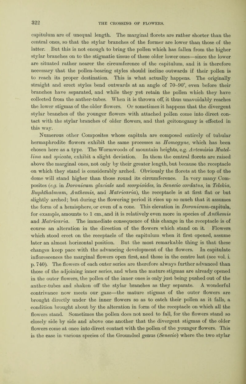 capitulum are of unequal length. The marginal florets are rather shorter than the central ones, so that the stylar branches of the former are lower than those of the latter. But this is not enough to bring the pollen which has fallen from the higher stylar branches on to the stigmatic tissue of these older lower ones—since the lower are situated rather nearer the circumference of the capitulum, and it is therefore necessary that the pollen-bearing styles should incline outwards if their pollen is to reach its proper destination. This is what actually happens. The originally straight and erect styles bend outwards at an angle of 70-90°, even before their branches have separated, and while they yet retain the pollen which they have collected from the anther-tubes. When it is thrown off, it thus unavoidably reaches the lower stigmas of the older flowers. Or sometimes it happens that the divergent stylar branches of the younger flowers with attached pollen come into direct con- tact with the stylar branches of older flowers, and that geitonogamy is effected in this way. Numerous other Composites whose capitula are composed entirely of tubular hermaphrodite flowers exhibit the same processes as Homogyne, which has been chosen here as a type. The Wormwoods of mountain heights, e.g. Artemisia Mutel- lina and spicata, exhibit a slight deviation. In them the central florets are raised above the marginal ones, not only by their greater length, but because the receptacle on which they stand is considerably arched. Obviously the florets at the top of the dome will stand higher than those round its circumference. In very many Com- posites (e.g. in Boronicum glaciate and scorpioides, in Senecio cordatus, in Telekia, Buphthalmum, Anthemis, and Matricaria), the receptacle is at first flat or but slightly arched; but during the flowering period it rises up so much that it assumes the form of a hemisphere, or even of a cone. This elevation in Doromcwm-capitula, for example, amounts to 1 cm., and it is relatively even more in species of Anthemis and Matricaria. The immediate consequence of this change in the receptacle is of course an alteration in the direction of the flowers which stand on it. Flowers which stood erect on the receptacle of the capitulum when it first opened, assume later an almost horizontal position. But the most remarkable thing is that these changes keep pace with the advancing development of the flowers. In capitulate inflorescences the marginal flowers open first, and those in the centre last (see vol. i. p. 740). The flowers of each outer series are therefore always further advanced than those of the adjoining inner series, and when the mature stigmas are already opened in the outer flowers, the pollen of the inner ones is only just being pushed out of the anther-tubes and shaken off the stylar branches as they separate. A wonderful contrivance now meets our gaze—the mature stigmas of the outer flowers are brought directly under the inner flowers so as to catch their pollen as it falls, a condition brought about by the alteration in form of the receptacle on which all the flowers stand. Sometimes the pollen does not need to fall, for the flowers stand so closely side by side and above one another that the divergent stigmas of the older flowers come at once into direct contact with the pollen of the younger flowers. This is the case in various species of the Groundsel genus (Senecio) where the two stylar