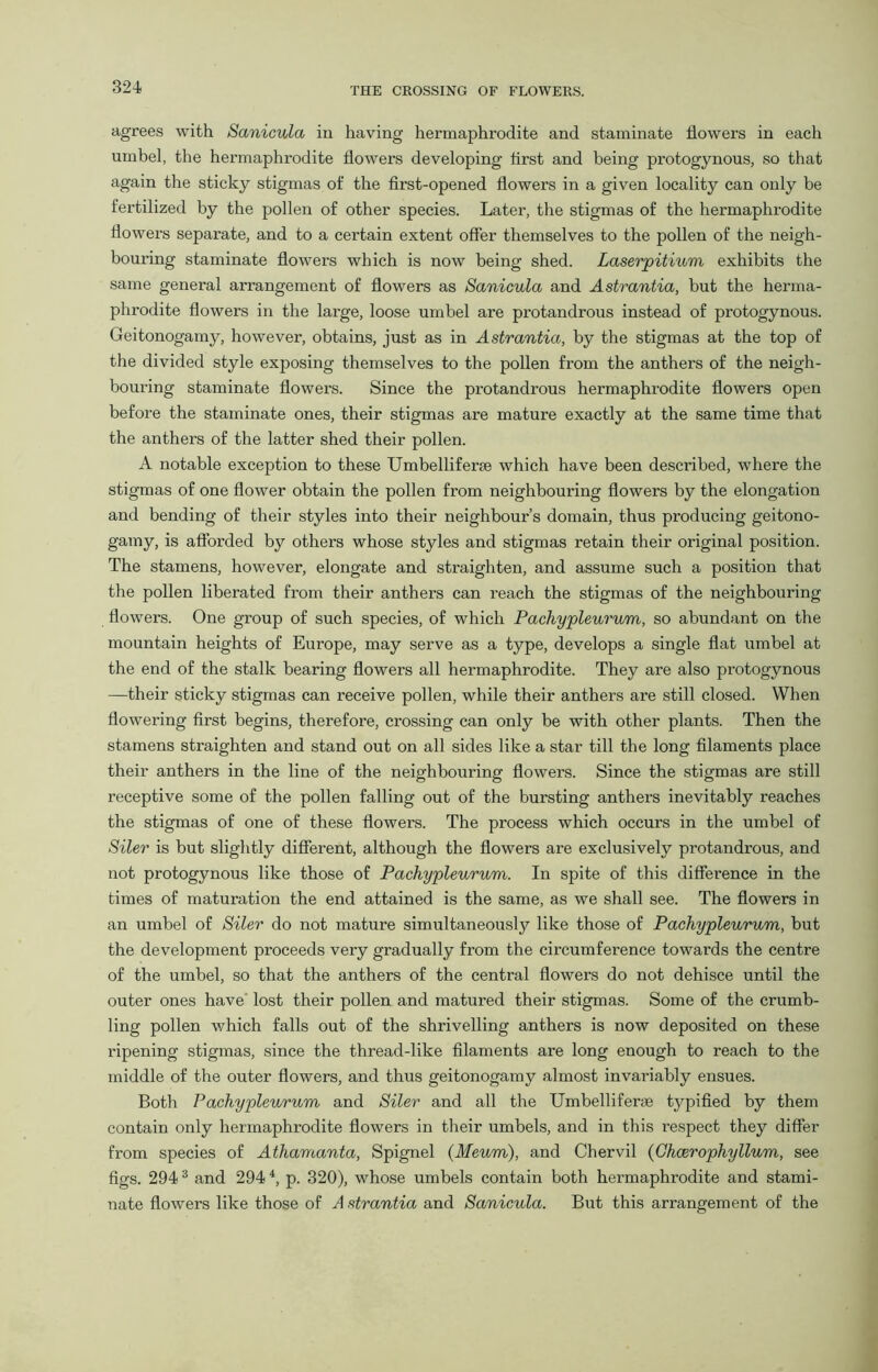 agrees with Sanicula in having hermaphrodite and staminate flowers in each umbel, the hermaphrodite flowers developing first and being protogynous, so that again the sticky stigmas of the first-opened flowers in a given locality can only be fertilized by the pollen of other species. Later, the stigmas of the hermaphrodite flowers separate, and to a certain extent offer themselves to the pollen of the neigh- bouring staminate flowers which is now being shed. Laserpitium exhibits the same general arrangement of flowers as Sanicula and Astrantia, but the herma- phrodite flowers in the large, loose umbel are protandrous instead of protogynous. Geitonogamy, however, obtains, just as in Astrantia, by the stigmas at the top of the divided style exposing themselves to the pollen from the anthers of the neigh- bouring staminate flowers. Since the protandrous hermaphrodite flowers open before the staminate ones, their stigmas are mature exactly at the same time that the anthers of the latter shed their pollen. A notable exception to these Umbelliferse which have been described, where the stigmas of one flower obtain the pollen from neighbouring flowers by the elongation and bending of their styles into their neighbour’s domain, thus producing geitono- gamy, is afforded by others whose styles and stigmas retain their original position. The stamens, however, elongate and straighten, and assume such a position that the pollen liberated from their anthers can reach the stigmas of the neighbouring flowers. One group of such species, of which Pachypleurum, so abundant on the mountain heights of Europe, may serve as a type, develops a single flat umbel at the end of the stalk bearing flowers all hermaphrodite. They are also protogynous —their sticky stigmas can receive pollen, while their anthers are still closed. When flowering first begins, therefore, crossing can only be with other plants. Then the stamens straighten and stand out on all sides like a star till the long filaments place their anthers in the line of the neighbouring flowers. Since the stigmas are still receptive some of the pollen falling out of the bursting anthers inevitably reaches the stigmas of one of these flowers. The process which occurs in the umbel of Siler is but slightly different, although the flowers are exclusively protandrous, and not protogynous like those of Pachypleurum. In spite of this difference in the times of maturation the end attained is the same, as we shall see. The flowers in an umbel of Siler do not mature simultaneously like those of Pachypleurum, but the development proceeds very gradually from the circumference towards the centre of the umbel, so that the anthers of the central flowers do not dehisce until the outer ones have lost their pollen and matured their stigmas. Some of the crumb- ling pollen which falls out of the shrivelling anthers is now deposited on these ripening stigmas, since the thread-like filaments are long enough to reach to the middle of the outer flowers, and thus geitonogamy almost invariably ensues. Both Pachypleurum and Siler and all the Umbel lifer* typified by them contain only hermaphrodite flowers in their umbels, and in this respect they differ from species of Athamanta, Spignel (Meum), and Chervil (Cheerophyllum, see figs. 2943 and 2944, p. 320), whose umbels contain both hermaphrodite and stami- nate flowers like those of A strantia and Sanicula. But this arrangement of the