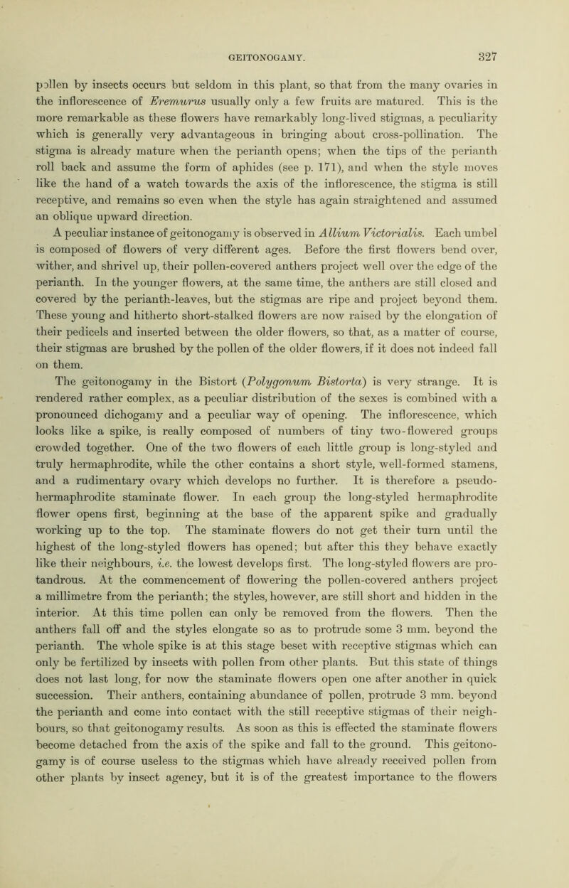 p 3lien by insects occurs but seldom in this plant, so that from the many ovaries in the inflorescence of Eremurus usually only a few fruits are matured. This is the more remarkable as these flowers have remarkably long-lived stigmas, a peculiarity which is generally very advantageous in bringing about cross-pollination. The stigma is already mature when the perianth opens; when the tips of the perianth roll back and assume the form of aphides (see p. 171), and when the style moves like the hand of a watch towards the axis of the inflorescence, the stigma is still receptive, and remains so even when the style has again straightened and assumed an oblique upward direction. A peculiar instance of geitonogamy is observed in Allium Victorialis. Each umbel is composed of flowers of very different ages. Before the first flowers bend over, wither, and shrivel up, their pollen-covered anthers project well over the edge of the perianth. In the younger flowers, at the same time, the anthers are still closed and covered by the perianth-leaves, but the stigmas are ripe and project beyond them. These young and hitherto short-stalked flowers are now raised by the elongation of their pedicels and inserted between the older flowers, so that, as a matter of course, their stigmas are brushed by the pollen of the older flowers, if it does not indeed fall on them. The geitonogamy in the Bistort (Polygonum Bistorta) is very strange. It is rendered rather complex, as a peculiar distribution of the sexes is combined with a pronounced dichogamy and a peculiar way of opening. The inflorescence, which looks like a spike, is really composed of numbers of tiny two-flowered groups crowded together. One of the two flowers of each little group is long-styled and truly hermaphrodite, while the other contains a short style, well-formed stamens, and a rudimentary ovary which develops no further. It is therefore a pseudo- hermaphrodite staminate flower. In each group the long-styled hermaphrodite flower opens first, beginning at the base of the apparent spike and gradually working up to the top. The staminate flowers do not get their turn until the highest of the long-styled flowers has opened; but after this they behave exactly like their neighbours, i.e. the lowest develops first. The long-styled flowers are pro- tandrous. At the commencement of flowering the pollen-covered anthers project a millimetre from the perianth; the styles, however, are still short and hidden in the interior. At this time pollen can only be removed from the flowers. Then the anthers fall off and the styles elongate so as to protrude some 3 mm. beyond the perianth. The whole spike is at this stage beset with receptive stigmas which can only be fertilized by insects with pollen from other plants. But this state of things does not last long, for now the staminate flowers open one after another in quick succession. Their anthers, containing abundance of pollen, protrude 3 mm. beyond the perianth and come into contact with the still receptive stigmas of their neigh- bours, so that geitonogamy results. As soon as this is effected the staminate flowers become detached from the axis of the spike and fall to the ground. This geitono- gamy is of course useless to the stigmas which have already received pollen from other plants by insect agency, but it is of the greatest importance to the flowers
