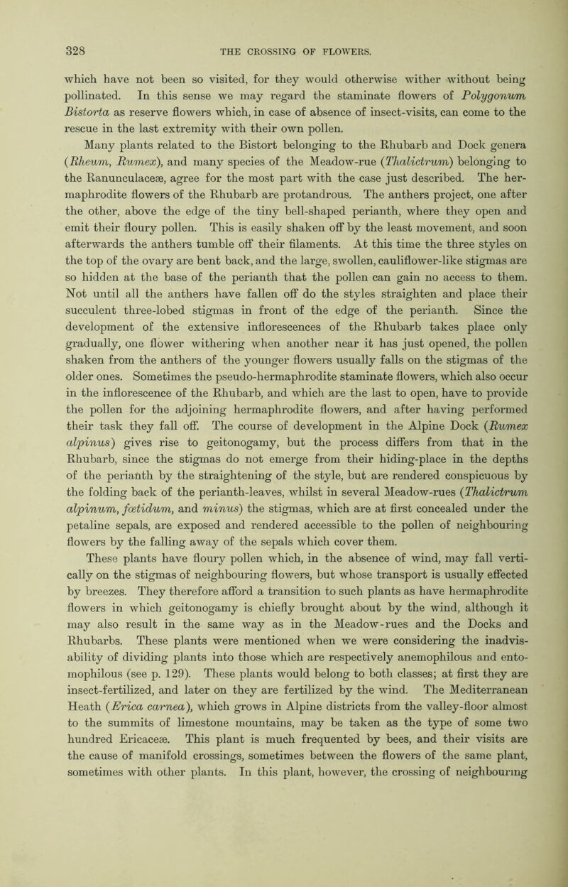 which have not been so visited, for they would otherwise wither without being pollinated. In this sense we may regard the staminate flowers of Polygonum Bistorta as reserve flowers which, in case of absence of insect-visits, can come to the rescue in the last extremity with their own pollen. Many plants related to the Bistort belonging to the Rhubarb and Dock genera {Rheum, Rumex), and many species of the Meadow-rue (Thalictrum) belonging to the Ranunculaceae, agree for the most part with the case just described. The her- maphrodite flowers of the Rhubarb are protandrous. The anthers project, one after the other, above the edge of the tiny bell-shaped perianth, where they open and emit their floury pollen. This is easily shaken off by the least movement, and soon afterwards the anthers tumble off their filaments. At this time the three styles on the top of the ovary are bent back, and the large, swollen, cauliflower-like stigmas are so hidden at the base of the perianth that the pollen can gain no access to them. Not until all the anthers have fallen off do the styles straighten and place their succulent three-lobed stigmas in front of the edge of the perianth. Since the development of the extensive inflorescences of the Rhubarb takes place only gradually, one flower withering when another near it has just opened, the pollen shaken from the anthers of the younger flowers usually falls on the stigmas of the older ones. Sometimes the pseudo-hermaphrodite staminate flowers, which also occur in the inflorescence of the Rhubarb, and which are the last to open, have to provide the pollen for the adjoining hermaphrodite flowers, and after having performed their task they fall off. The course of development in the Alpine Dock (Rumex alpinus) gives rise to geitonogamy, but the process differs from that in the Rhubarb, since the stigmas do not emerge from their hiding-place in the depths of the perianth by the straightening of the style, but are rendered conspicuous by the folding back of the perianth-leaves, whilst in several Meadow-rues {Thalictrum alpinum, fcetidum, and minus) the stigmas, which are at first concealed under the petaline sepals, are exposed and rendered accessible to the pollen of neighbouring flowers by the falling away of the sepals which cover them. These plants have floury pollen which, in the absence of wind, may fall verti- cally on the stigmas of neighbouring flowers, but whose transport is usually effected by breezes. They therefore afford a transition to such plants as have hermaphrodite flowers in which geitonogamy is chiefly brought about by the wind, although it may also result in the same way as in the Meadow-rues and the Docks and Rhubarbs. These plants were mentioned when we were considering the inadvis- ability of dividing plants into those which are respectively anemophilous and ento- mophilous (see p. 129). These plants would belong to both classes; at first they are insect-fertilized, and later on they are fertilized by the wind. The Mediterranean Heath {Erica carnea), which grows in Alpine districts from the valley-floor almost to the summits of limestone mountains, may be taken as the type of some two hundred Ericaceae. This plant is much frequented by bees, and their visits are the cause of manifold crossings, sometimes between the flowers of the same plant, sometimes with other plants. In this plant, however, the crossing of neighbouring