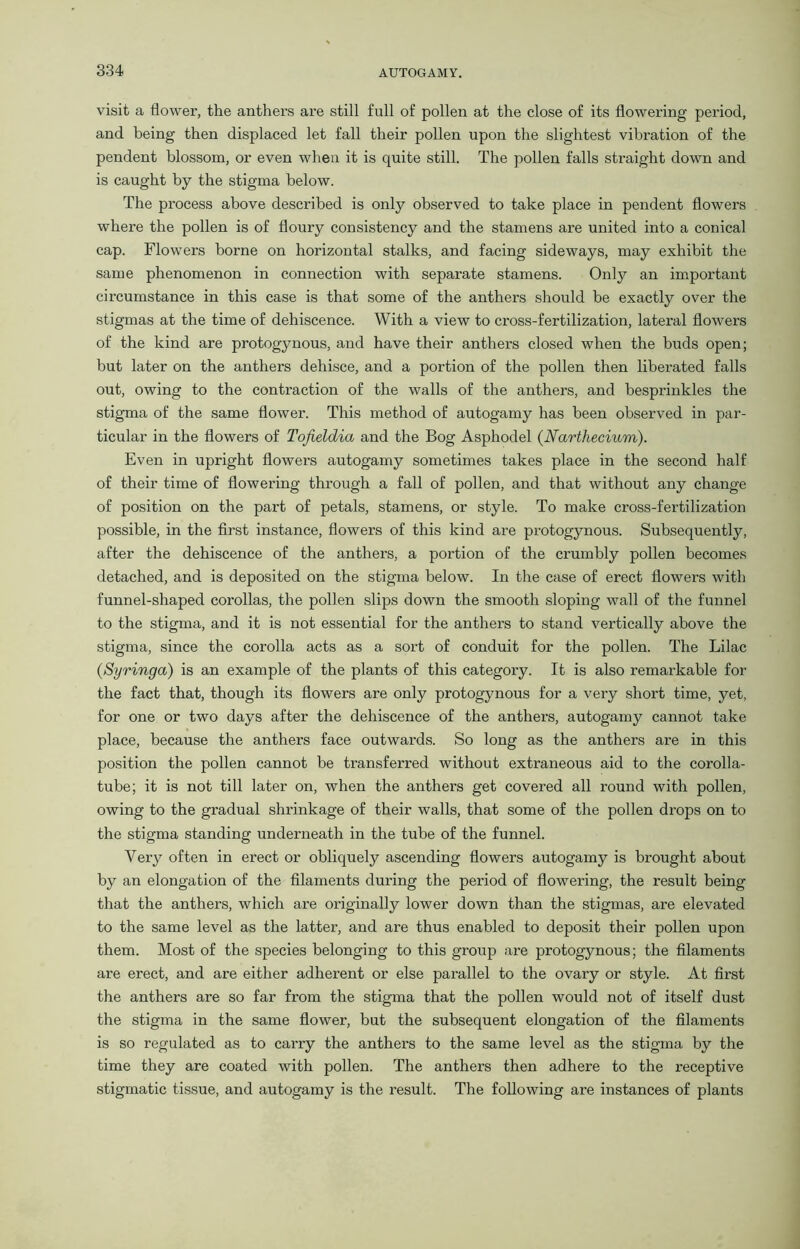 visit a flower, the anthers ai'e still full of pollen at the close of its flowering period, and being then displaced let fall their pollen upon the slightest vibration of the pendent blossom, or even when it is quite still. The pollen falls straight down and is caught by the stigma below. The process above described is only observed to take place in pendent flowers where the pollen is of floury consistency and the stamens are united into a conical cap. Flowers borne on horizontal stalks, and facing sideways, may exhibit the same phenomenon in connection with separate stamens. Only an important circumstance in this case is that some of the anthers should be exactly over the stigmas at the time of dehiscence. With a view to cross-fertilization, lateral flowers of the kind are protogynous, and have their anthers closed when the buds open; but later on the anthers dehisce, and a portion of the pollen then liberated falls out, owing to the contraction of the walls of the anthers, and besprinkles the stigma of the same flower. This method of autogamy has been observed in par- ticular in the flowers of Tofteldia and the Bog Asphodel (Narthecium). Even in upright flowers autogamy sometimes takes place in the second half of their time of flowering through a fall of pollen, and that without any change of position on the part of petals, stamens, or style. To make cross-fertilization possible, in the first instance, flowers of this kind are protogynous. Subsequently, after the dehiscence of the anthers, a portion of the crumbly pollen becomes detached, and is deposited on the stigma below. In the case of erect flowers with funnel-shaped corollas, the pollen slips down the smooth sloping wall of the funnel to the stigma, and it is not essential for the anthers to stand vertically above the stigma, since the corolla acts as a sort of conduit for the pollen. The Lilac (Syringa) is an example of the plants of this category. It is also remarkable for the fact that, though its flowers are only protogynous for a very short time, yet, for one or two days after the dehiscence of the anthers, autogamy cannot take place, because the anthers face outwai'ds. So long as the anthers are in this position the pollen cannot be transferred without extraneous aid to the corolla- tube; it is not till later on, when the anthers get covered all round with pollen, owing to the gradual shrinkage of their walls, that some of the pollen drops on to the stigma standing underneath in the tube of the funnel. Very often in erect or obliquely ascending flowers autogamy is brought about by an elongation of the filaments during the period of flowering, the result being that the anthers, which are originally lower down than the stigmas, are elevated to the same level as the latter, and are thus enabled to deposit their pollen upon them. Most of the species belonging to this group are protogynous; the filaments are erect, and are either adherent or else parallel to the ovary or style. At first the anthers are so far from the stigma that the pollen would not of itself dust the stigma in the same flower, but the subsequent elongation of the filaments is so regulated as to carry the anthers to the same level as the stigma by the time they are coated with pollen. The anthers then adhere to the receptive stigmatic tissue, and autogamy is the result. The following are instances of plants