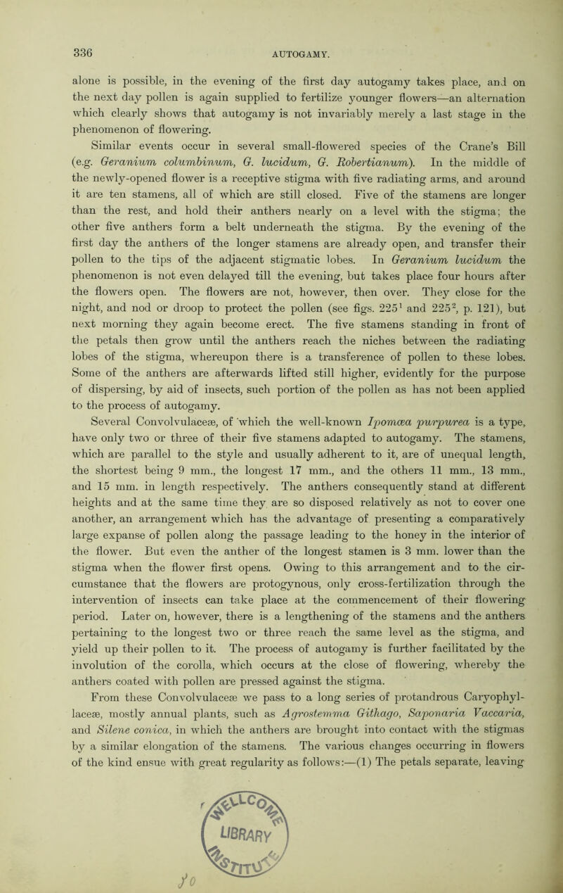 alone is possible, in the evening of the first day autogamy takes place, and on the next day pollen is again supplied to fertilize younger flowers—an alternation which clearly shows that autogamy is not invariably merely a last stage in the phenomenon of flowering. Similar events occur in several small-flowered species of the Crane’s Bill (e.g. Geranium columbinum, G. lucidum, G. Robertianum). In the middle of the newly-opened flower is a receptive stigma with five radiating ai’ms, and around it are ten stamens, all of which are still closed. Five of the stamens are longer than the rest, and hold their anthers nearly on a level with the stigma; the other five anthers form a belt underneath the stigma. By the evening of the first day the anthers of the longer stamens are already open, and transfer their pollen to the tips of the adjacent stigmatic lobes. In Geranium lucidum the phenomenon is not even delayed till the evening, but takes place four hours after the flowers open. The flowers are not, however, then over. They close for the night, and nod or droop to protect the pollen (see figs. 2251 and 2252, p. 121), but next morning they again become erect. The five stamens standing in front of the petals then grow until the anthers reach the niches between the radiating lobes of the stigma, whereupon there is a transference of pollen to these lobes. Some of the anthers are afterwards lifted still higher, evidently for the purpose of dispersing, by aid of insects, such portion of the pollen as has not been applied to the process of autogamy. Several Convolvulacese, of which the well-known Ipomoea purpurea is a type, have only two or three of their five stamens adapted to autogamy. The stamens, which are parallel to the style and usually adherent to it, are of unequal length, the shortest being 9 mm., the longest 17 mm., and the others 11 mm., 13 mm., and 15 mm. in length respectively. The anthers consequently stand at different heights and at the same time they are so disposed relatively as not to cover one another, an arrangement which has the advantage of presenting a comparatively large expanse of pollen along the passage leading to the honey in the interior of the flower. But even the anther of the longest stamen is 3 mm. lower than the stigma when the flower first opens. Owing to this arrangement and to the cir- cumstance that the flowers are protogynous, only cross-fertilization through the intervention of insects can take place at the commencement of their flowering period. Later on, however, there is a lengthening of the stamens and the anthers pertaining to the longest two or three reach the same level as the stigma, and yield up their pollen to it. The process of autogamy is further facilitated by the involution of the corolla, which occurs at the close of flowering, whereby the anthers coated with pollen are pressed against the stigma. From these Convolvulacese we pass to a long series of protandrous Caryophyl- lacese, mostly annual plants, such as Agrostemma Githago, Saponaria Vaccaria, and Silene conica, in which the anthers are brought into contact with the stigmas by a similar elongation of the stamens. The various changes occurring in flowers of the kind ensue with great regularity as follows:—(1) The petals separate, leaving