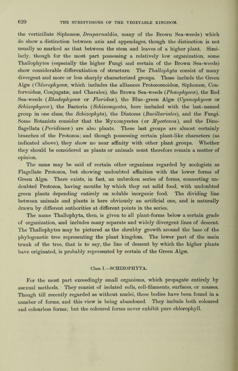 the verticillate Siphoneae, Draparnaldia, many of the Brown Sea-weeds) which do show a distinction between axis and appendages, though the distinction is not usually so marked as that between the stem and leaves of a higher plant. Simi- larly, though for the most part possessing a relatively low organization, some Thallophytes (especially the higher Fungi and certain of the Brown Sea-weeds) show considei-able differentiation of structure. The Thallophyta consist of many divergent and more or less sharply characterized groups. These include the Green Algae {Ghlorophycece, which includes the alliances Protococcoideae, Siphoneae, Con- fervoideae, Conjugatae, and Charales), the Brown Sea-weeds (Phceophycece), the Red Sea-weeds {Rhodophycece or Floridece), the Blue-green Algae (Gyanophycece or Schizophycece), the Bacteria (Schizomycetes, here included with the last-named group in one class, the Schizophyta), the Diatoms (Bacillariales), and the Fungi. Some Botanists consider that the Myxomycetes (or Mycetozoa), and the Dino- flagellata (Peridinece) are also plants. These last groups are almost certainly branches of the Protozoa; and though possessing certain plant-like characters (as indicated above), they show no near affinity with other plant groups. Whether they should be considered as plants or animals must therefore remain a matter of opinion. The same may be said of certain other organisms regarded by zoologists as Flagellate Protozoa, but showing undoubted affinities with the lower forms of Green Algae. There exists, in fact, an unbroken series of forms, connecting un- doubted Protozoa, having mouths by which they eat solid food, with undoubted green plants depending entirely on soluble inorganic food. The dividing line between animals and plants is here obviously an artificial one, and is naturally drawn by different authorities at different points in the series. The name Thallophyta, then, is given to all plant-forms below a certain grade of organization, and includes many separate and widely divergent lines of descent. The Thallophytes may be pictured as the shrubby growth around the base of the phylogenetic tree representing the plant kingdom. The lower part of the main trunk of the tree, that is to say, the line of descent by which the higher plants have originated, is probably represented by certain of the Green Algae, Class I.—SCHIZOPHYTA For the most part exceedingly small organisms, which propagate entirely by asexual methods. They consist of isolated cells, cell-filaments, surfaces, or masses. Though till recently regarded as without nuclei, these bodies have been found in a number of forms, and this view is being abandoned. They include both coloured and colourless forms; but the coloured forms never exhibit pure chlorophyll.