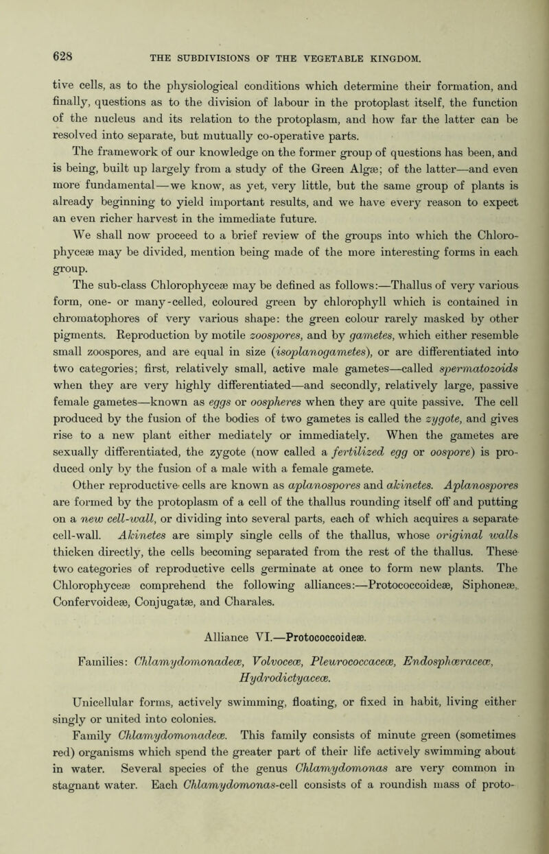 tive cells, as to the physiological conditions which determine their formation, and finally, questions as to the division of labour in the protoplast itself, the function of the nucleus and its relation to the protoplasm, and how far the latter can be resolved into separate, but mutually co-operative parts. The framework of our knowledge on the former group of questions has been, and is being, built up largely from a study of the Green Algse; of the latter—and even more fundamental—we know, as yet, very little, but the same group of plants is already beginning to yield important results, and we have evexy reason to expect an even richer harvest in the immediate future. We shall now proceed to a brief review of the groups into which the Chloi’o- phyceae may be divided, mention being made of the more interesting forms in each group. The sub-class Chlorophyce* may be defined as follows:—Thallus of very vaidous form, one- or many-celled, coloured green by chlorophyll which is contained in chromatophores of very various shape: the green colour rarely masked by other pigments. Repi’oduction by motile zoospores, and by gametes, which either resemble small zoospores, and are equal in size (isoplanogametes), or are diffei'entiated into two categories; first, relatively small, active male gametes—called spermatozoids when they are very highly differentiated—and secondly, relatively large, passive female gametes—known as eggs or oospheres when they are quite passive. The cell produced by the fusion of the bodies of two gametes is called the zygote, and gives rise to a new plant either mediately or immediately. When the gametes are sexually differentiated, the zygote (now called a fertilized egg or oospore) is pro- duced only by the fusion of a male with a female gamete. Other repi'oductive- cells are known as aplanospores and akinetes. Aplanospores are formed by the protoplasm of a cell of the thallus rounding itself off and putting on a new cell-wall, or dividing into several parts, each of which acquires a separate cell-wall. Akinetes are simply single cells of the thallus, whose original walls thicken directly, the cells becoming separated fx-om the rest of the thallus. These two categories of reproductive cells germinate at once to form new plants. The Chlorophycese comprehend the following alliances:—Protococcoideae, Siphoneae,. Confervoideae, Conjugatae, and Charales. Alliance VI.—Protococcoideae. Families: Chlamydomonadece, Volvocece, Pleurococcacece, Endosphceracew, Hydrodictyacece. Unicellular forms, actively swimxning, floating, or fixed in habit, living either singly or united into colonies. Family Chlamydomonadece. This family consists of minute green (sometimes red) organisms which spend the greater part of their life actively swimming about in water. Several species of the genus Ghlamydomonas are very common in stagnant water. Each Chlamydomonas-ceW consists of a x-oundish xnass of proto-