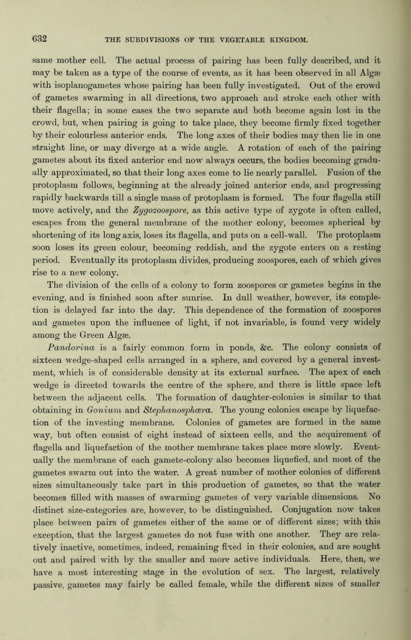 same mother cell. The actual process of pairing has been fully described, and it may be taken as a type of the course of events, as it has been observed in all Algae with isoplanogametes whose pairing has been fully investigated. Out of the crowd of gametes swarming in all directions, two approach and stroke each other with their flagella; in some cases the two separate and both become again lost in the crowd, but, when pairing is going to take place, they become firmly fixed together by their colourless anterior ends. The long axes of their bodies may then lie in one straight line, or may diverge at a wide angle. A rotation of each of the pairing gametes about its fixed anterior end now always occurs, the bodies becoming gradu- ally approximated, so that their long axes come to lie nearly parallel. Fusion of the protoplasm follows, beginning at the already joined anterior ends, and progressing rapidly backwards till a single mass of protoplasm is formed. The four flagella still move actively, and the Zygozoospore, as this active type of zygote is often called, escapes from the general membrane of the mother colony, becomes spherical by shortening of its long axis, loses its flagella, and puts on a cell-wall. The protoplasm soon loses its green colour, becoming reddish, and the zygote enters on a resting period. Eventually its protoplasm divides, producing zoospores, each of which gives rise to a new colony. The division of the cells of a colony to form zoospores or gametes begins in the evening, and is finished soon after sunrise. In dull weather, however, its comple- tion is delayed far into the day. This dependence of the formation of zoospores and gametes upon the influence of light, if not invariable, is found very widely among the Green Algae. Pandorina is a fairly common form in ponds, &c. The colony consists of sixteen wedge-shaped cells arranged in a sphere, and covered by a general invest- ment, which is of considerable density at its external surface. The apex of each wedge is directed towards the centre of the sphere, and there is little space left between the adjacent cells. The formation of daughter-colonies is similar to that obtaining in Gonium and Stephanosphcera. The young colonies escape by liquefac- tion of the investing membrane. Colonies of gametes are formed in the same way, but often consist of eight instead of sixteen cells, and the acquirement of flagella and liquefaction of the mother membrane takes place more slowly. Event- ually the membrane of each gamete-colony also becomes liquefied, and most of the gametes swarm out into the water. A great number of mother colonies of different sizes simultaneously take part in this production of gametes, so that the water becomes filled with masses of swarming gametes of very variable dimensions. No distinct size-categories are, however, to be distinguished. Conjugation now takes place between pairs of gametes either of the same or of different sizes; with this exception, that the largest gametes do not fuse with one another. They are rela- tively inactive, sometimes, indeed, remaining fixed in their colonies, and are sought out and paired with by the smaller and more active individuals. Here, then, we have a most interesting stage in the evolution of sex. The largest, relatively passive, gametes may fairly be called female, while the different sizes of smaller