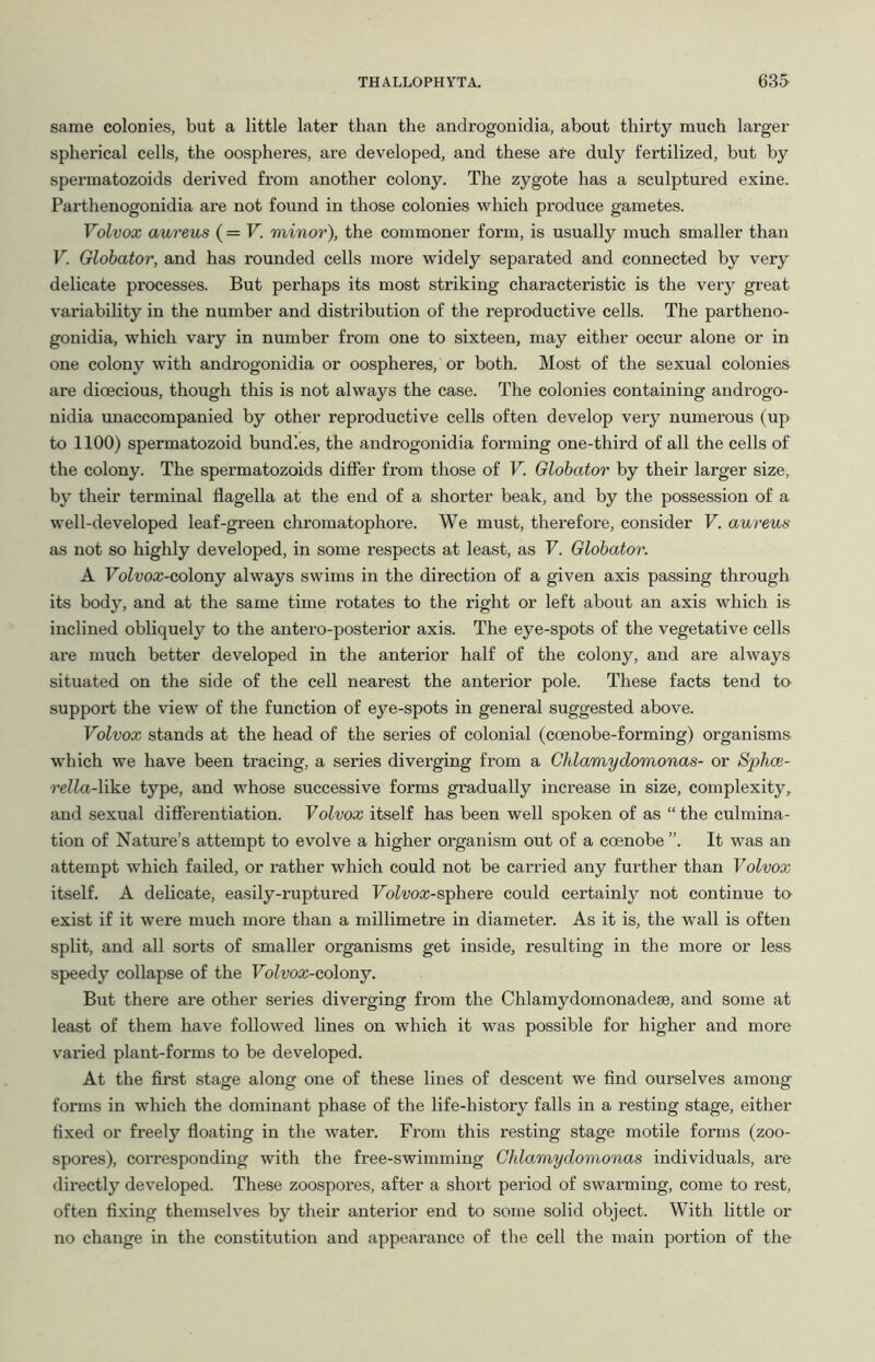same colonies, but a little later than the androgonidia, about thirty much larger spherical cells, the oospheres, are developed, and these are duly fertilized, but by spermatozoids derived from another colony. The zygote has a sculptured exine. Parthenogonidia are not found in those colonies which produce gametes. Volvox aureus {=V. minor), the commoner form, is usually much smaller than V. Globator, and has rounded cells more widely separated and connected by very delicate processes. But perhaps its most striking characteristic is the very great variability in the number and distribution of the reproductive cells. The partheno- gonidia, which vary in number from one to sixteen, may either occur alone or in one colony with androgonidia or oospheres, or both. Most of the sexual colonies are dioecious, though this is not always the case. The colonies containing androgo- nidia unaccompanied by other reproductive cells often develop very numerous (up to 1100) spermatozoid bundles, the androgonidia forming one-third of all the cells of the colony. The spermatozoids differ from those of V. Globator by their larger size, by their terminal flagella at the end of a shorter beak, and by the possession of a well-developed leaf-green chromatophore. We must, therefore, consider V. aureus as not so highly developed, in some respects at least, as V. Globator. A Volvox-colony always swims in the direction of a given axis passing through its body, and at the same time rotates to the right or left about an axis which is inclined obliquely to the antero-posterior axis. The eye-spots of the vegetative cells are much better developed in the anterior half of the colony, and are always situated on the side of the cell nearest the anterior pole. These facts tend to support the view of the function of eye-spots in general suggested above. Volvox stands at the head of the series of colonial (coenobe-forming) organisms which we have been tracing, a series diverging from a Chlamydomonas- or Sphce- ref^a-like type, and whose successive forms gradually increase in size, complexity, and sexual differentiation. Volvox itself has been well spoken of as “the culmina- tion of Nature’s attempt to evolve a higher organism out of a coenobe ”. It was an attempt which failed, or rather which could not be carried any further than Volvox itself. A delicate, easily-ruptured FoZwcc-sphere could certainly not continue to exist if it were much more than a millimetre in diameter. As it is, the wall is often split, and all sorts of smaller organisms get inside, resulting in the more or less speedy collapse of the Volvox-colony. But there are other series diverging from the Chlamydomonadese, and some at least of them have followed lines on which it was possible for higher and more varied plant-forms to be developed. At the flrst stage along one of these lines of descent we find ourselves among forms in which the dominant phase of the life-history falls in a resting stage, either fixed or freely floating in the water. From this resting stage motile forms (zoo- spores), corresponding with the free-swimming Chlamydomonas individuals, are directly developed. These zoospores, after a short period of swarming, come to rest, often fixing themselves by their anterior end to some solid object. With little or no change in the constitution and appearance of the cell the main portion of the